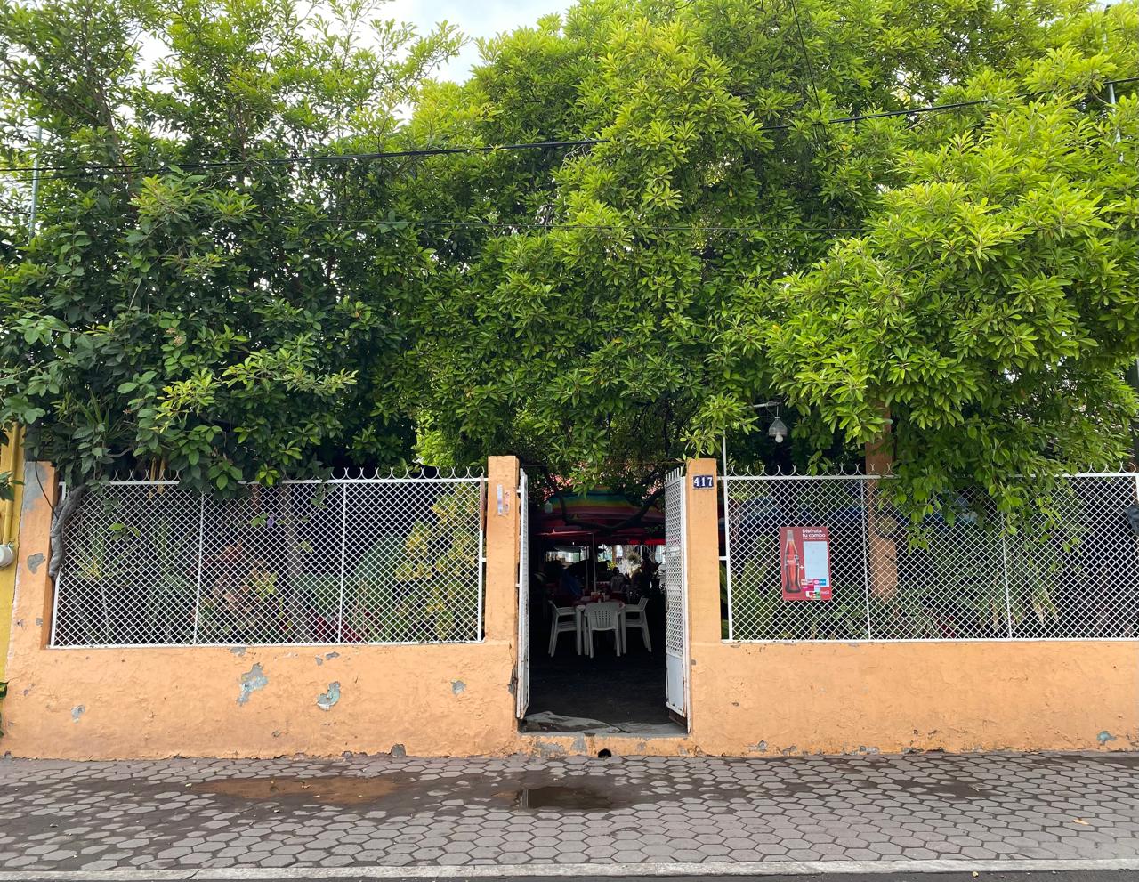 leetx-google-photo-67422-4 leetx-google-photo-67422-4