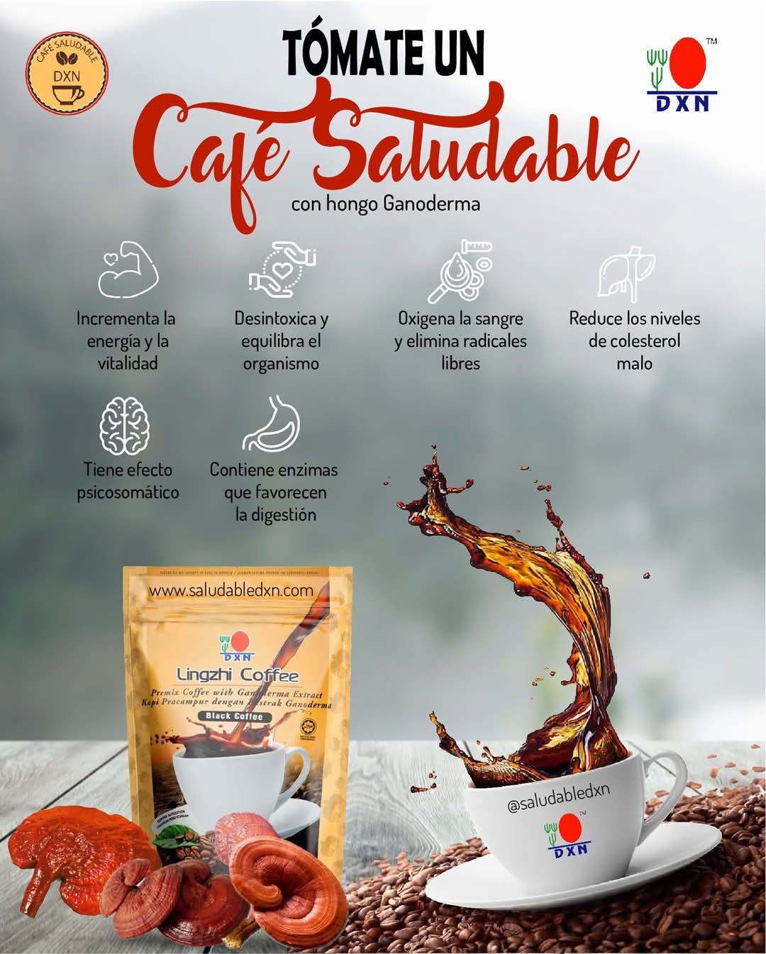 leetx-google-photo-67807-5 leetx-google-photo-67807-5