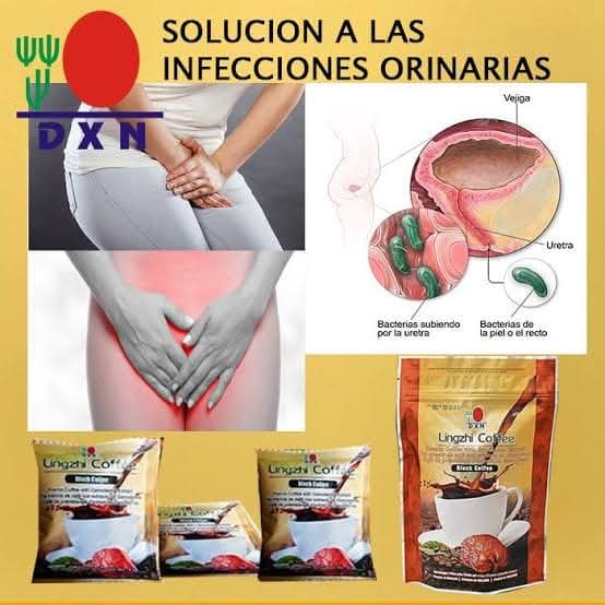 leetx-google-photo-67807-8 leetx-google-photo-67807-8