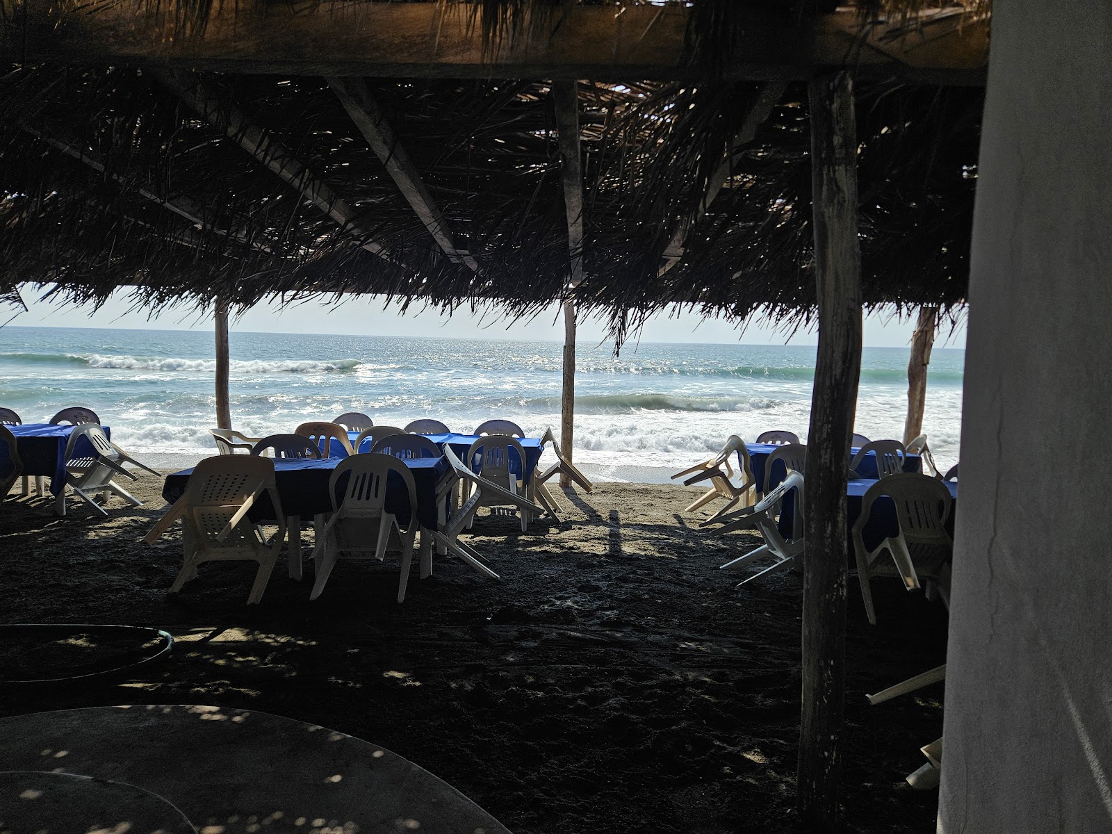 leetx-google-photo-68782-3 leetx-google-photo-68782-3