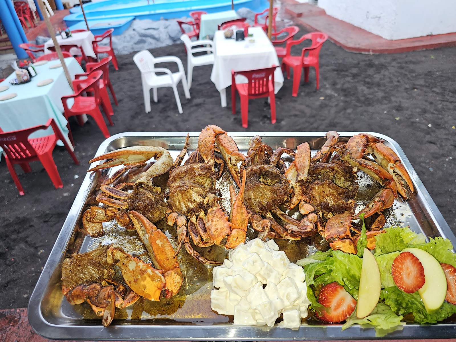 leetx-google-photo-69047-2 leetx-google-photo-69047-2