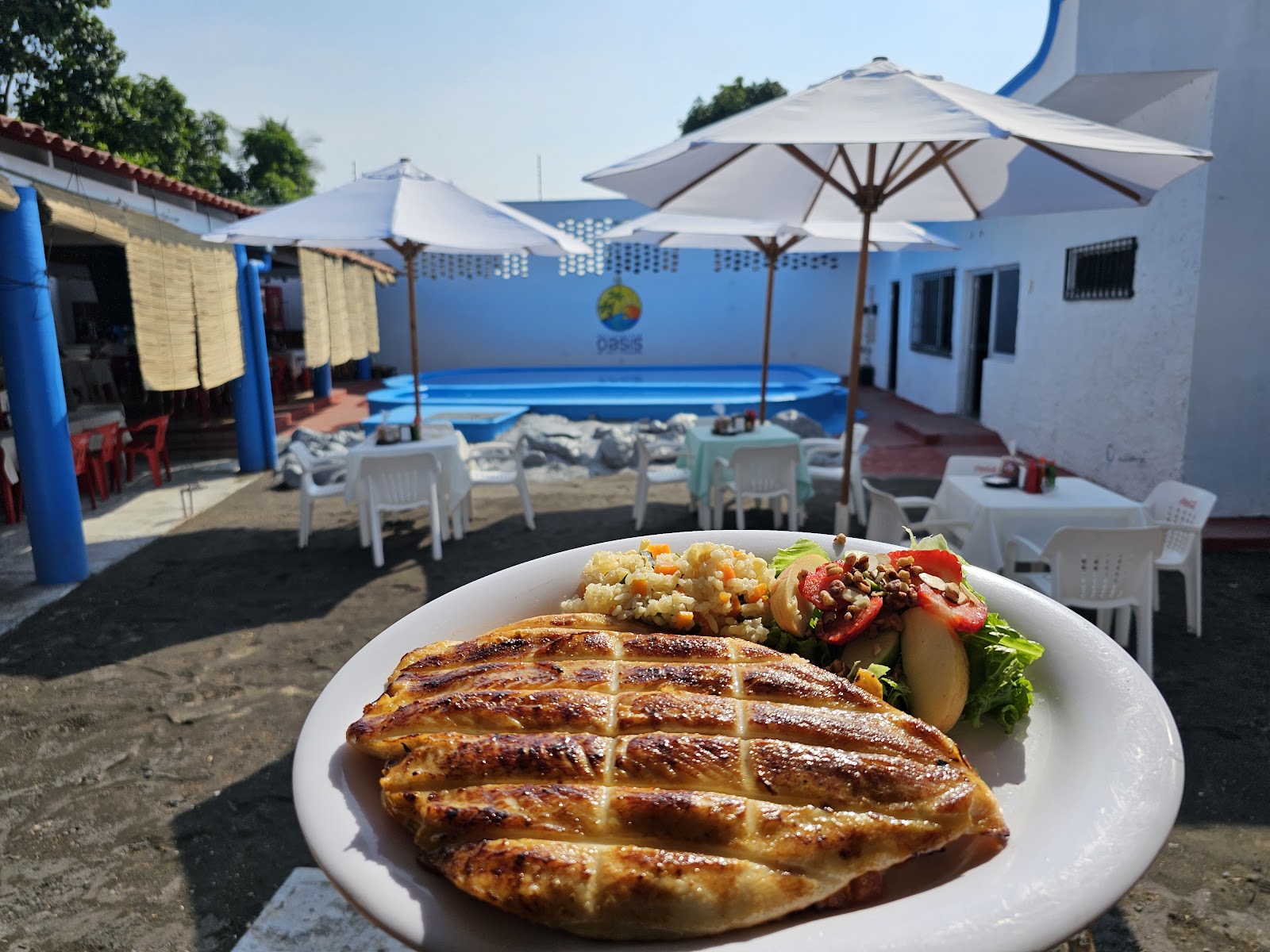 leetx-google-photo-69047-4 leetx-google-photo-69047-4