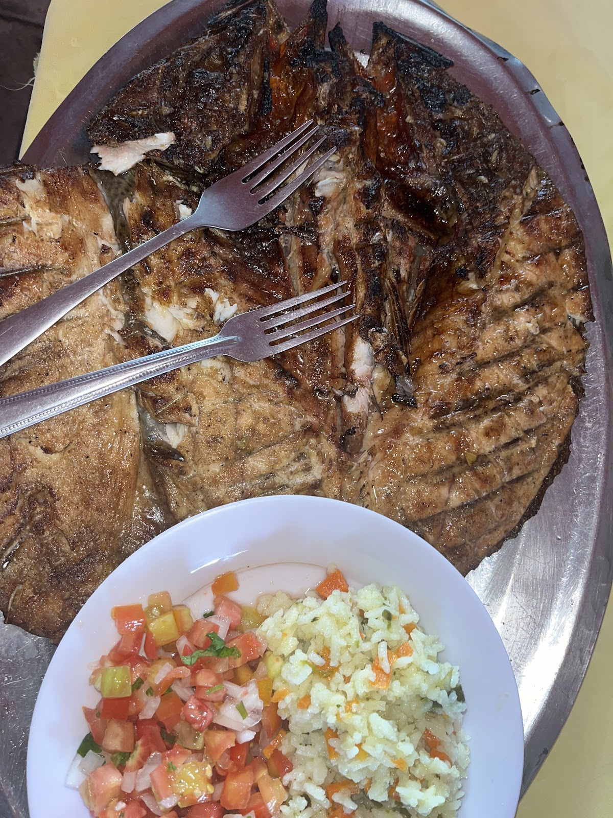 leetx-google-photo-69070-2 leetx-google-photo-69070-2