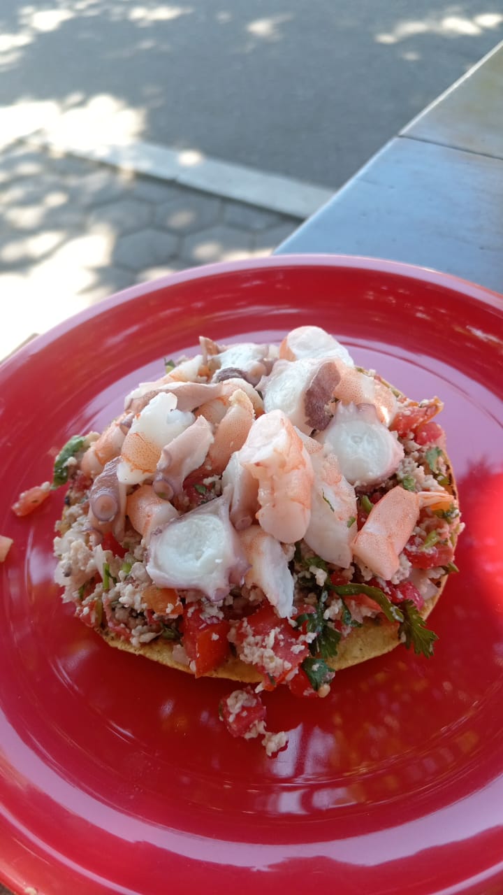 leetx-google-photo-69080-3 leetx-google-photo-69080-3