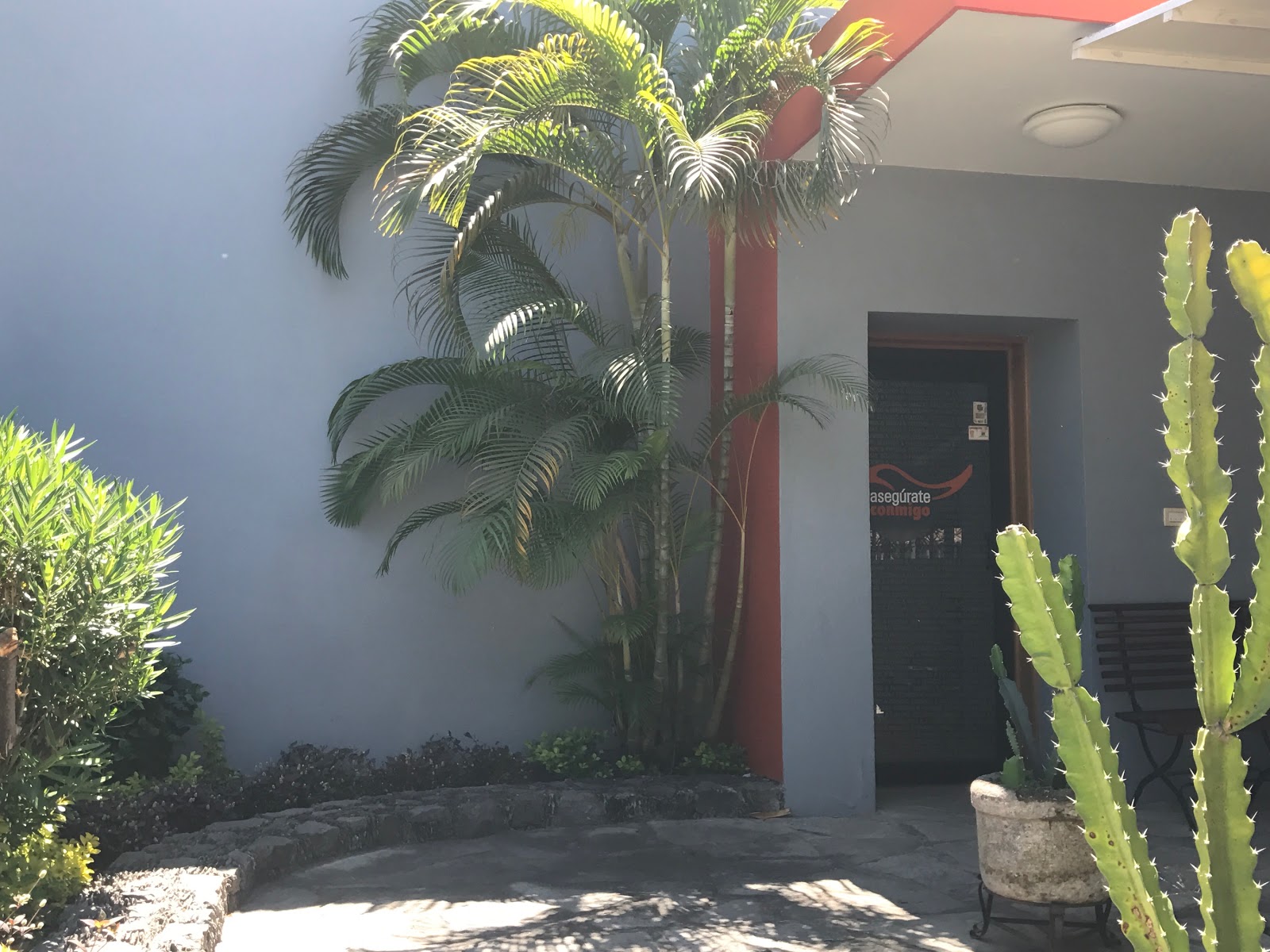 leetx-google-photo-70999-2-1 leetx-google-photo-70999-2-1