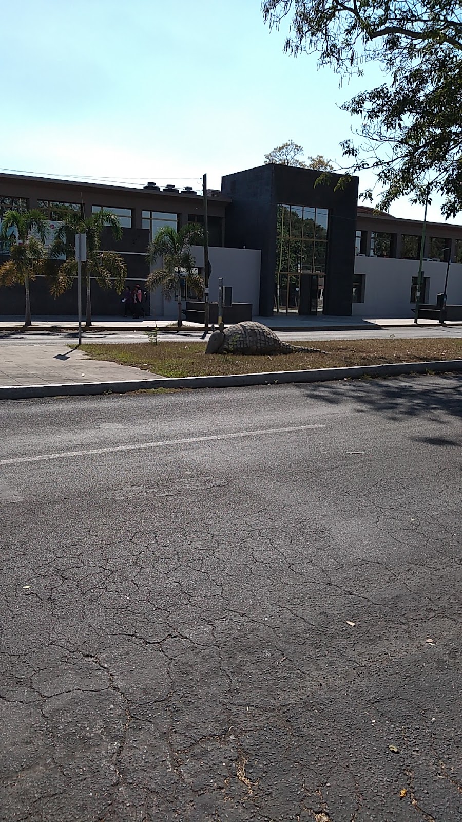 leetx-google-photo-73476-6 leetx-google-photo-73476-6