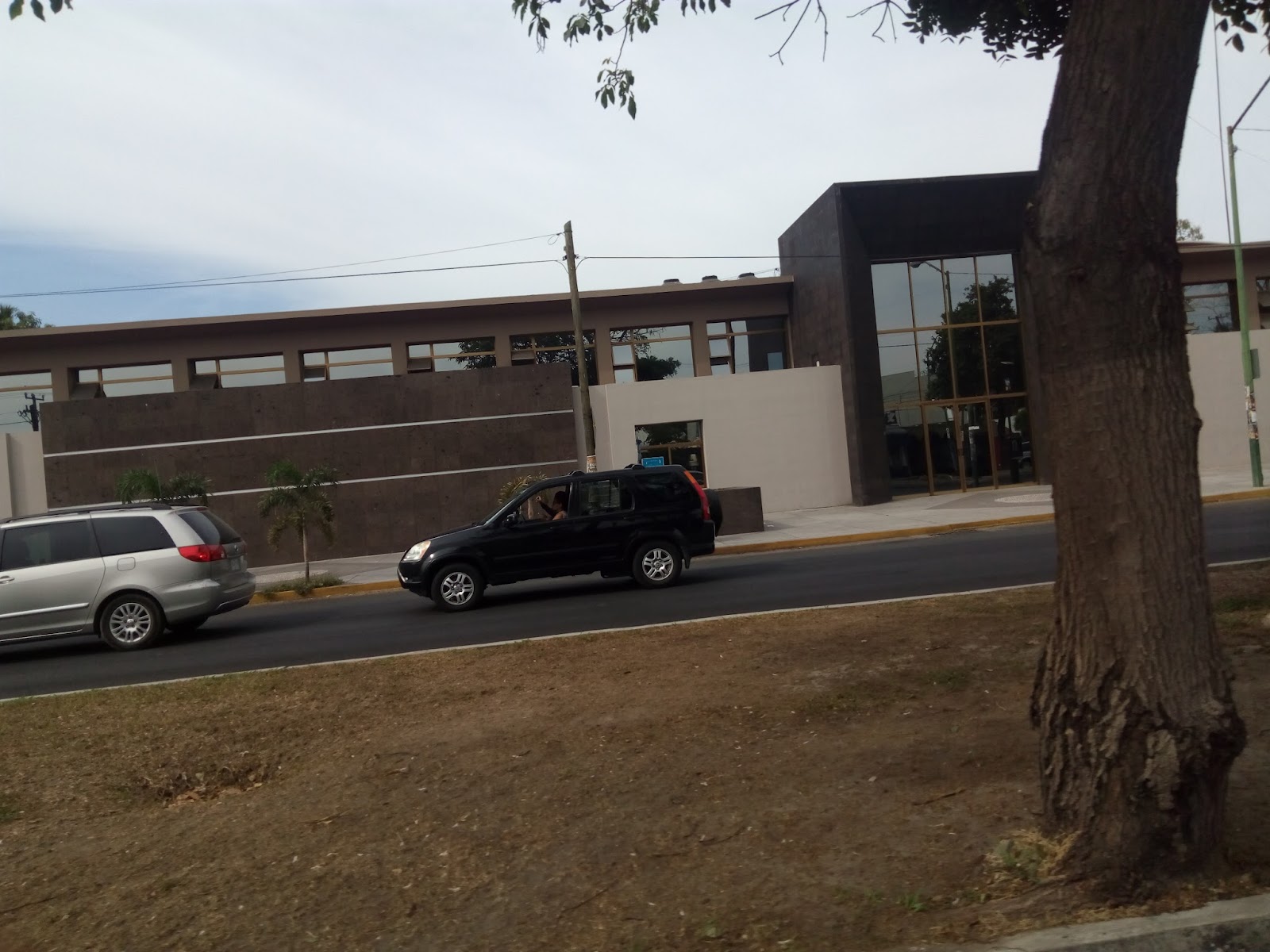 leetx-google-photo-73476-7 leetx-google-photo-73476-7