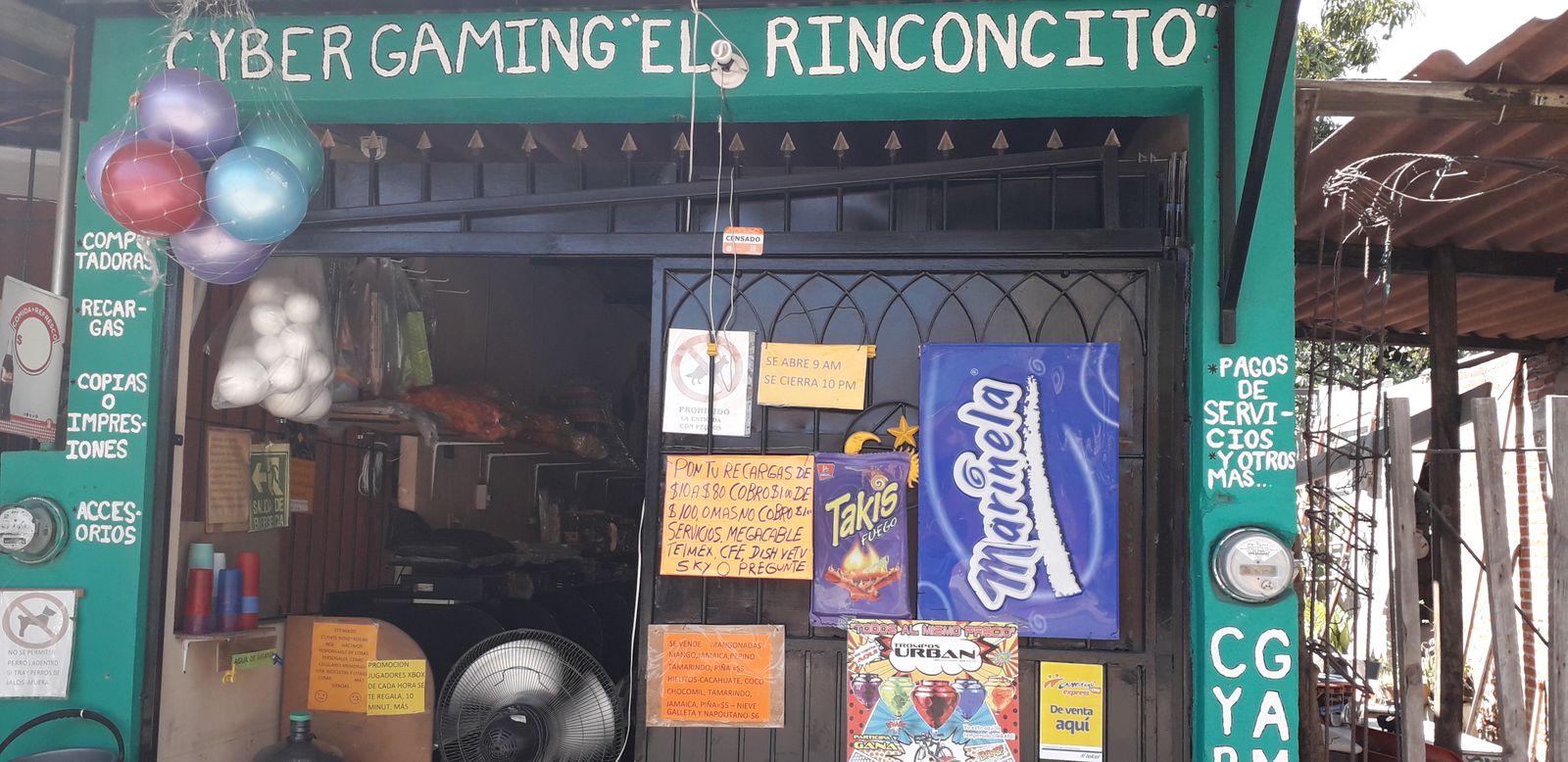 leetx-google-photo-73743-2 leetx-google-photo-73743-2