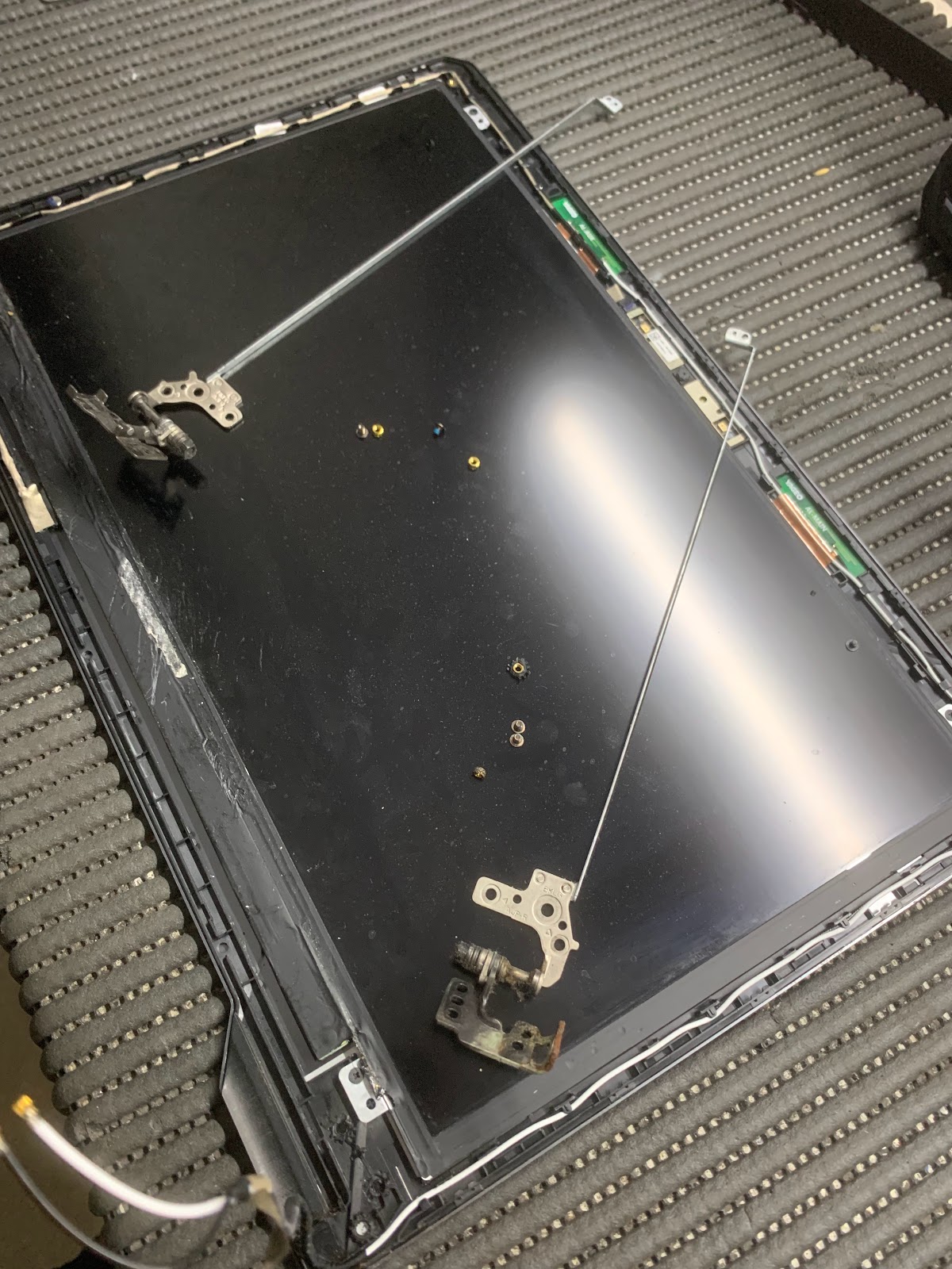 leetx-google-photo-73911-3 leetx-google-photo-73911-3