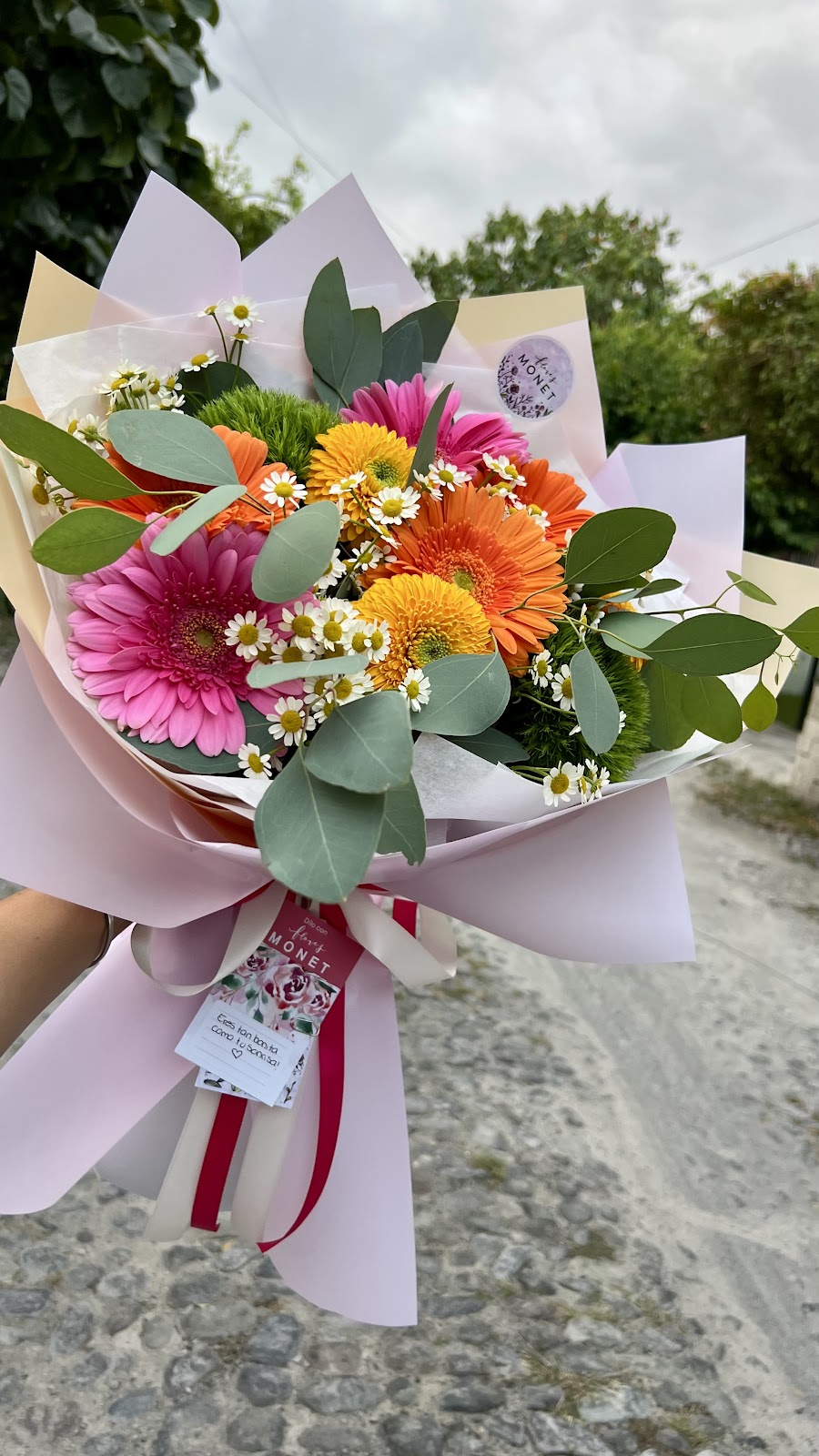 leetx-google-photo-75392-4 leetx-google-photo-75392-4