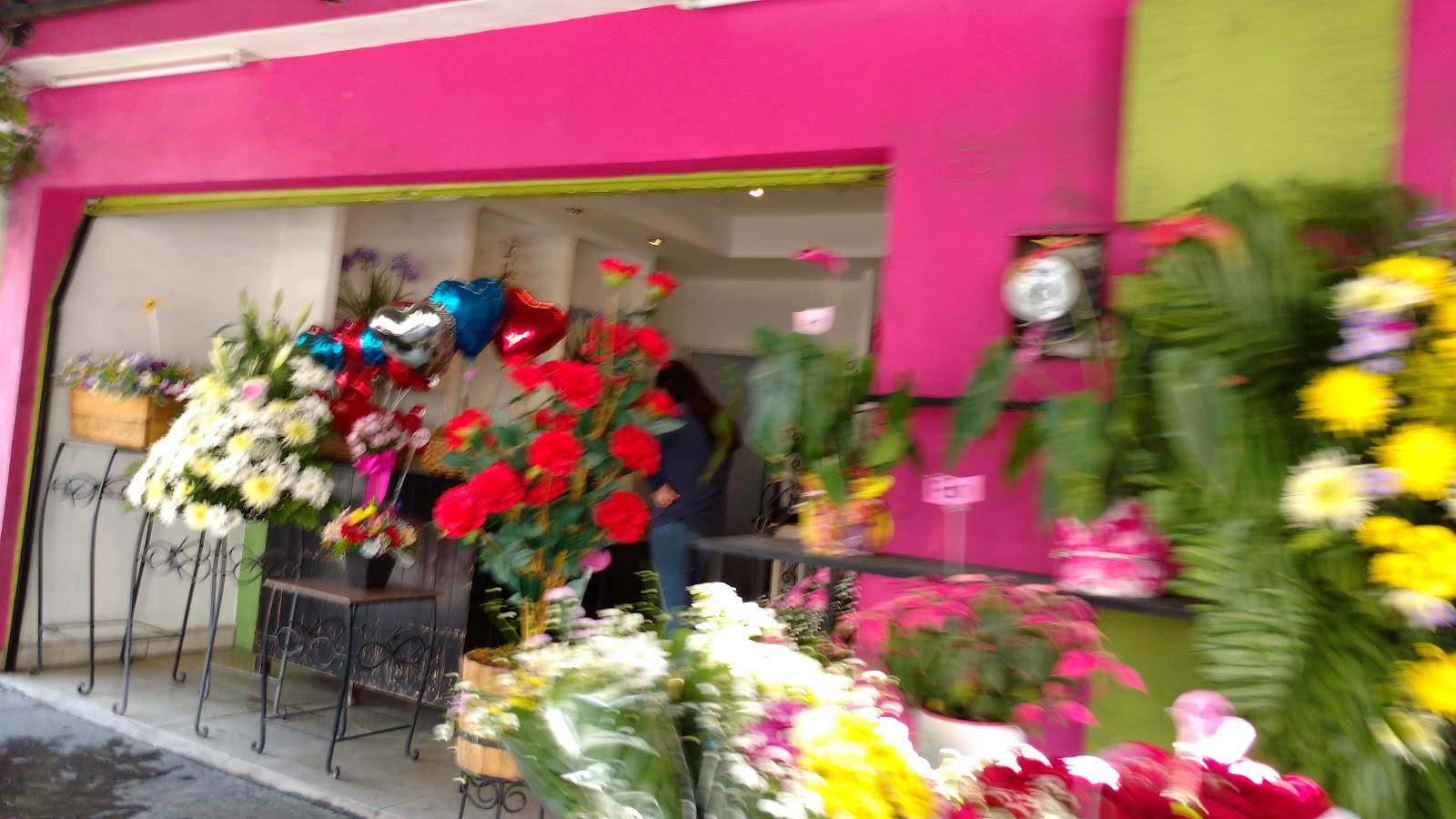 leetx-google-photo-75403-3 leetx-google-photo-75403-3