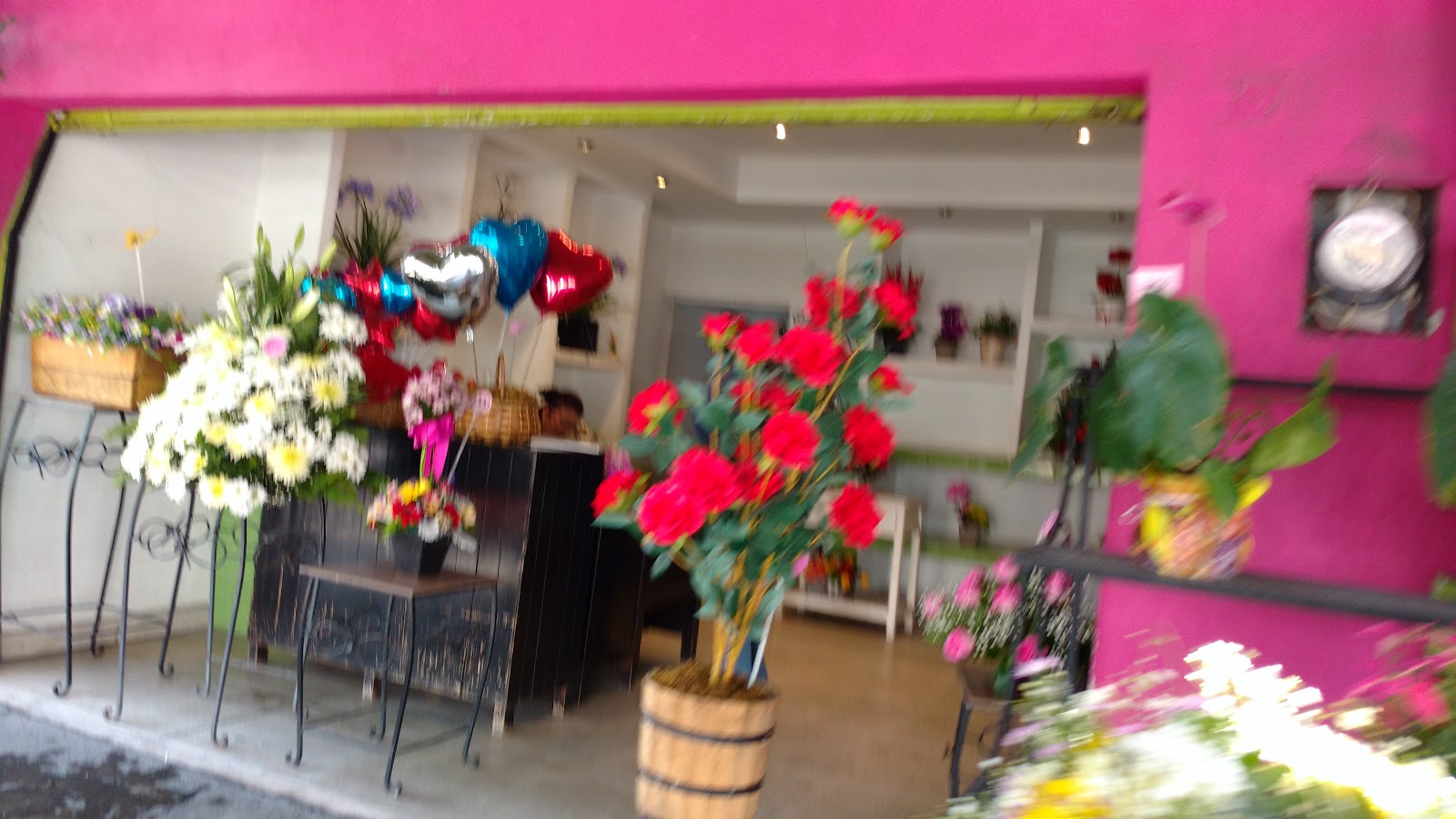 leetx-google-photo-75403-5 leetx-google-photo-75403-5