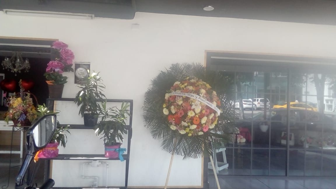 leetx-google-photo-75403-6 leetx-google-photo-75403-6