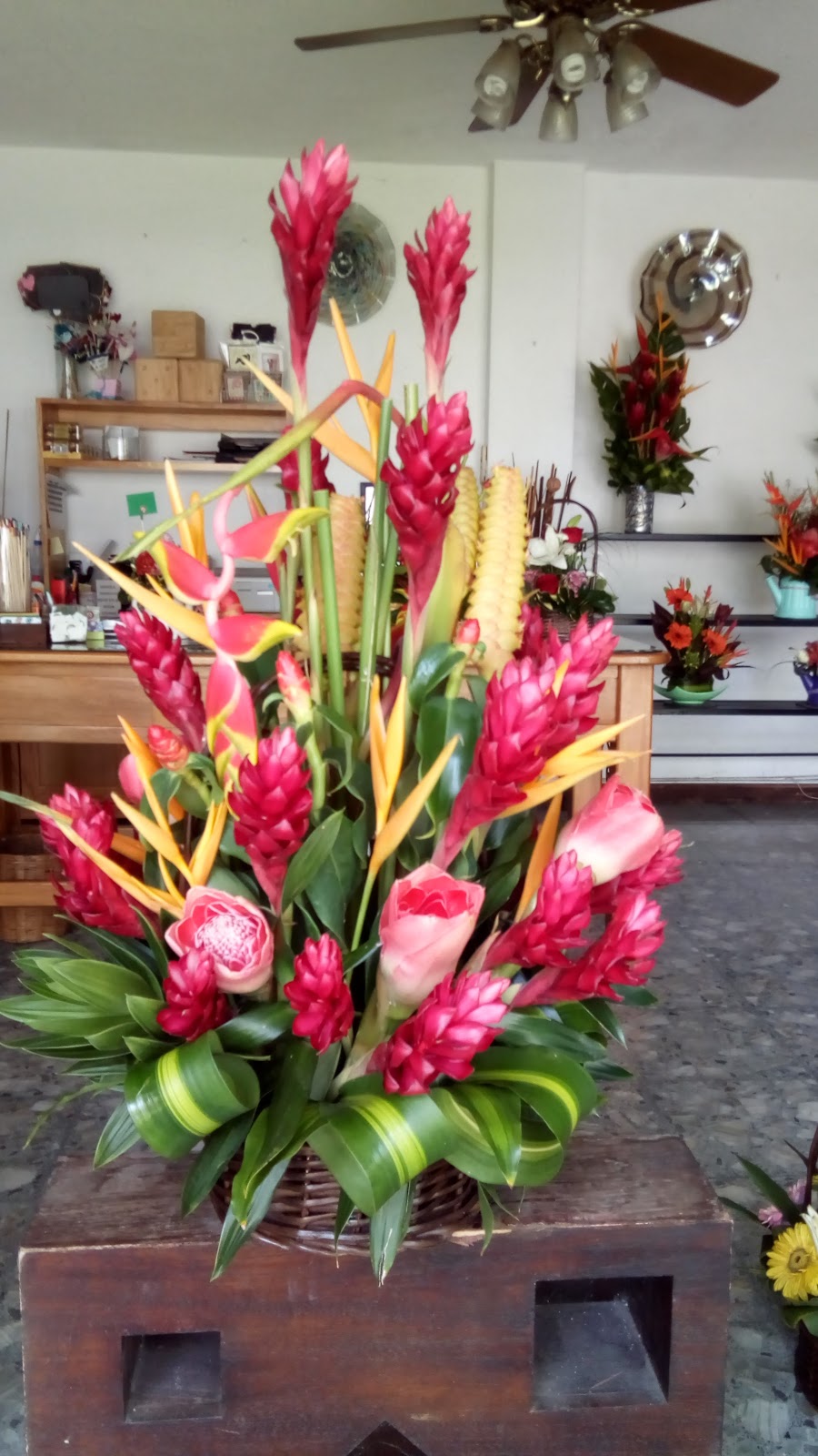 leetx-google-photo-75466-3 leetx-google-photo-75466-3