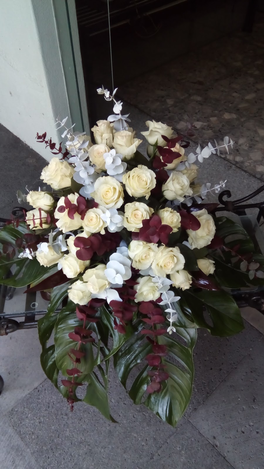 leetx-google-photo-75466-4 leetx-google-photo-75466-4