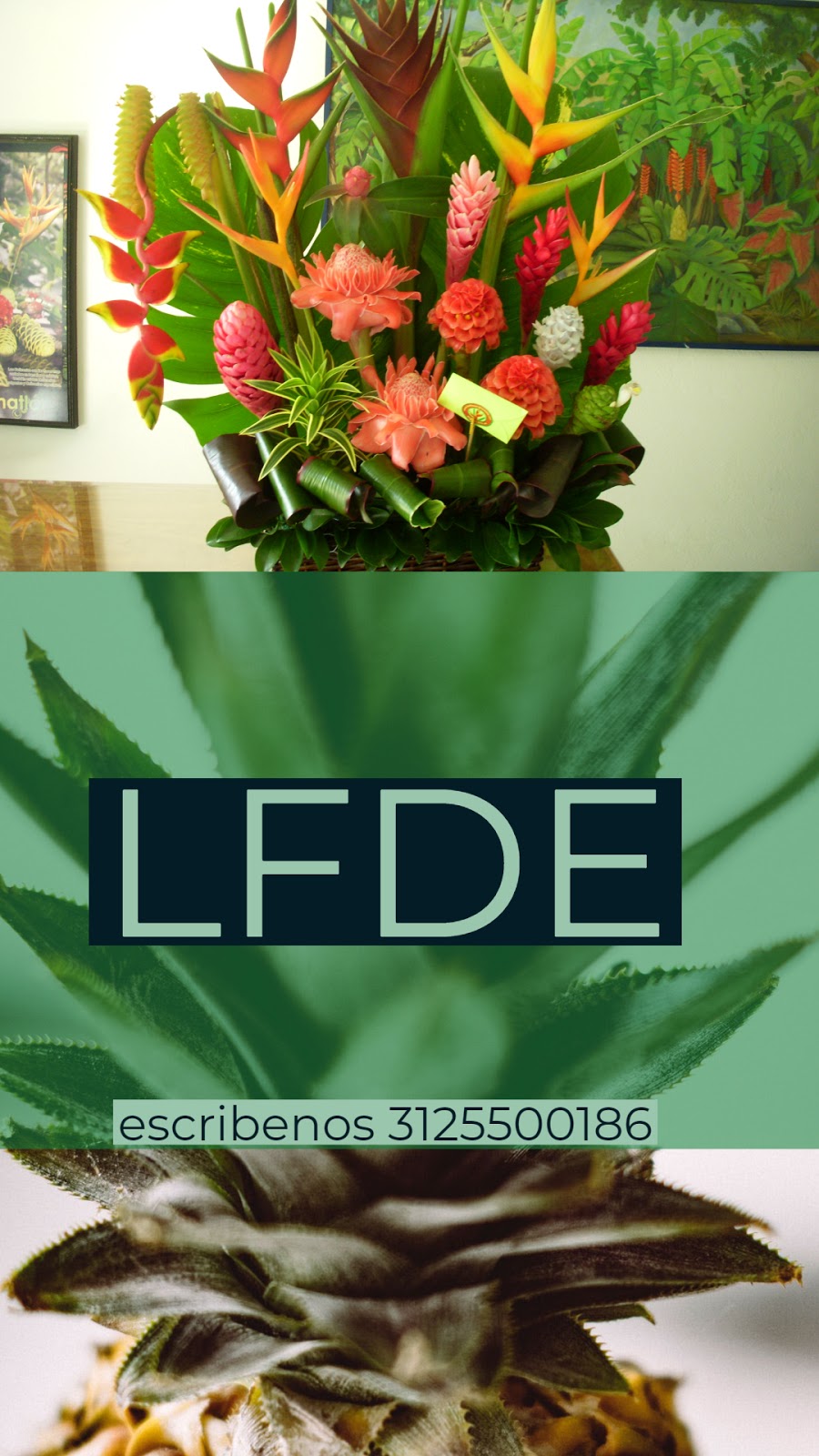 leetx-google-photo-75466-5 leetx-google-photo-75466-5