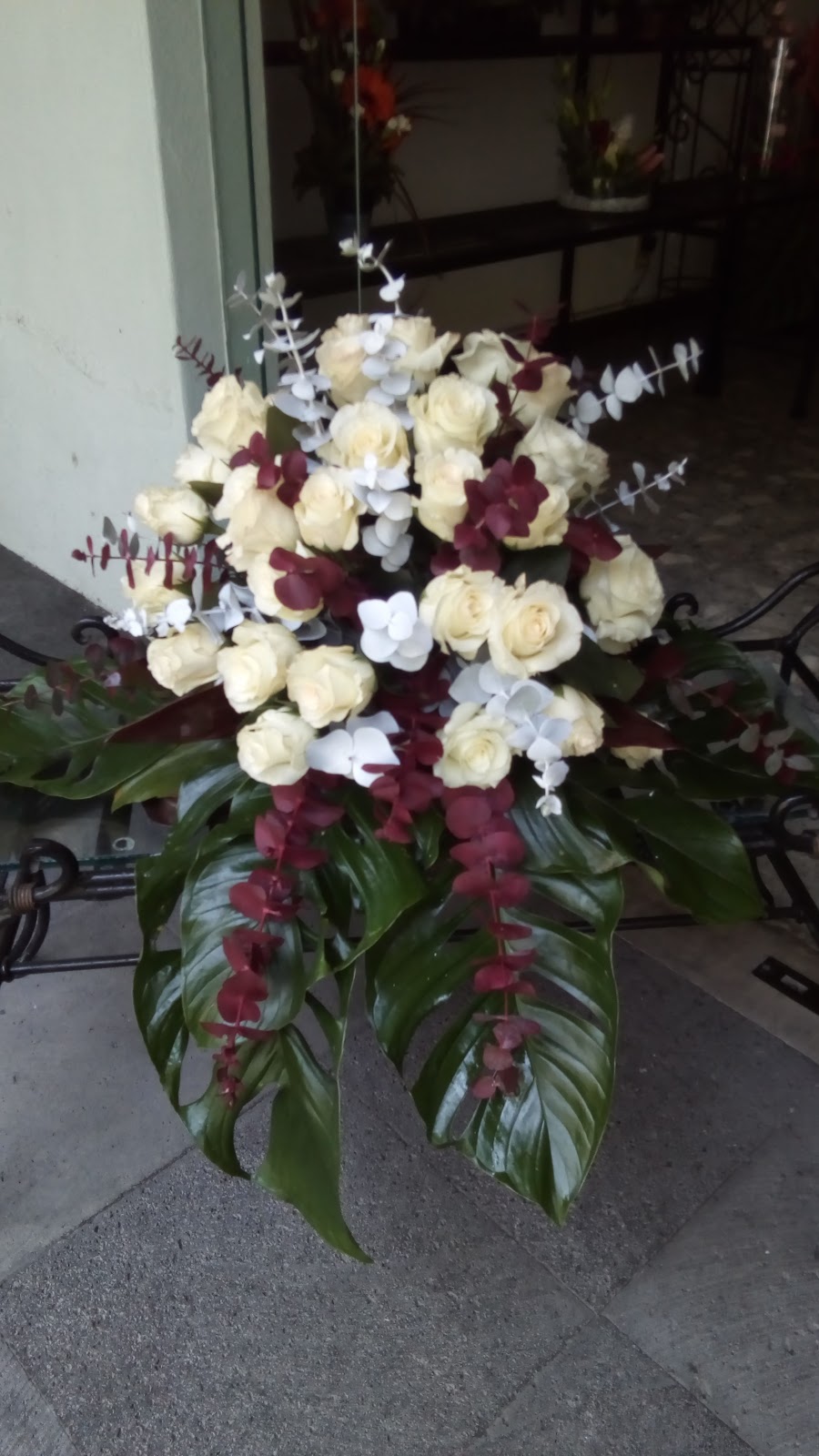 leetx-google-photo-75466-6 leetx-google-photo-75466-6