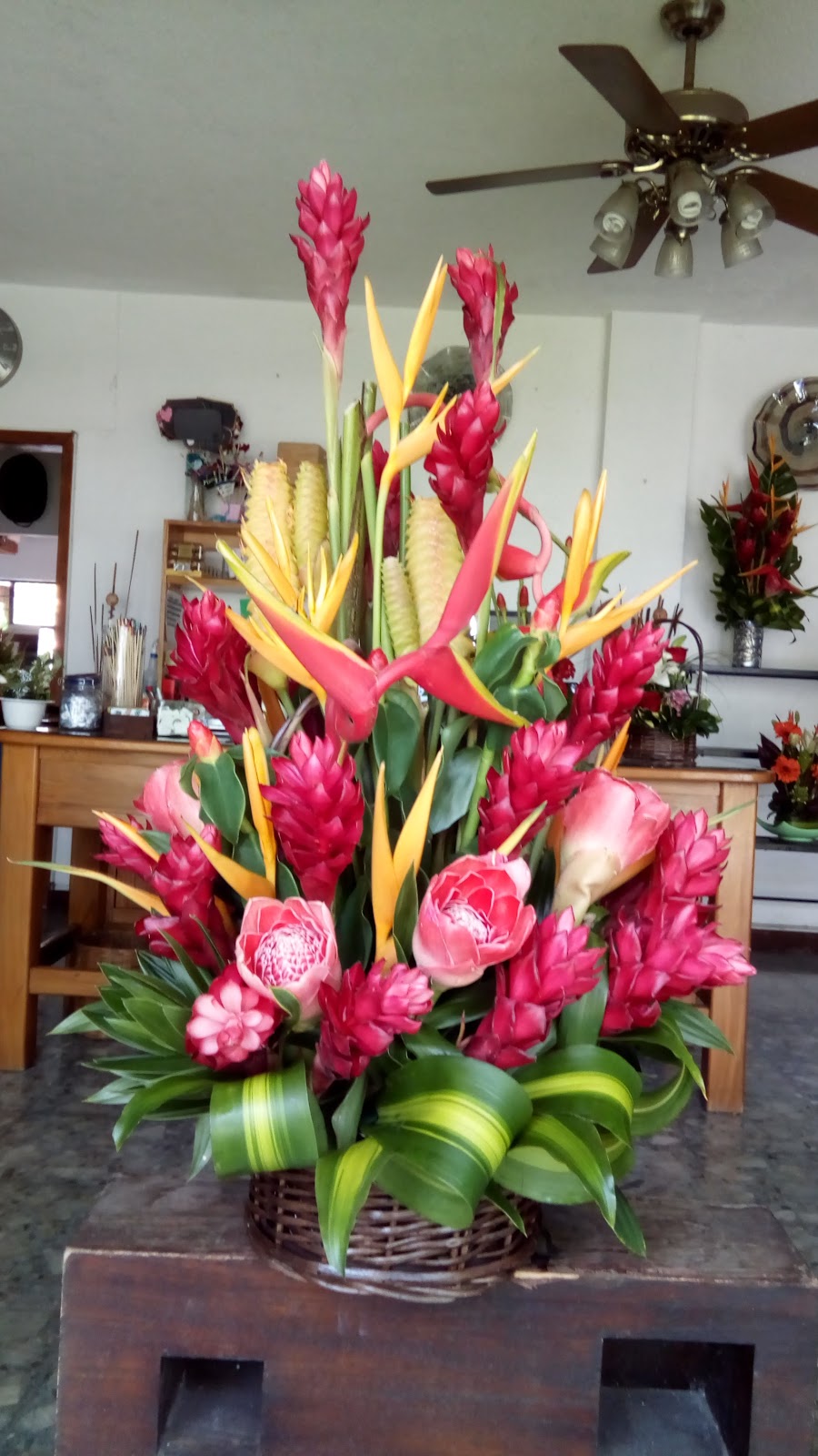 leetx-google-photo-75466-7 leetx-google-photo-75466-7