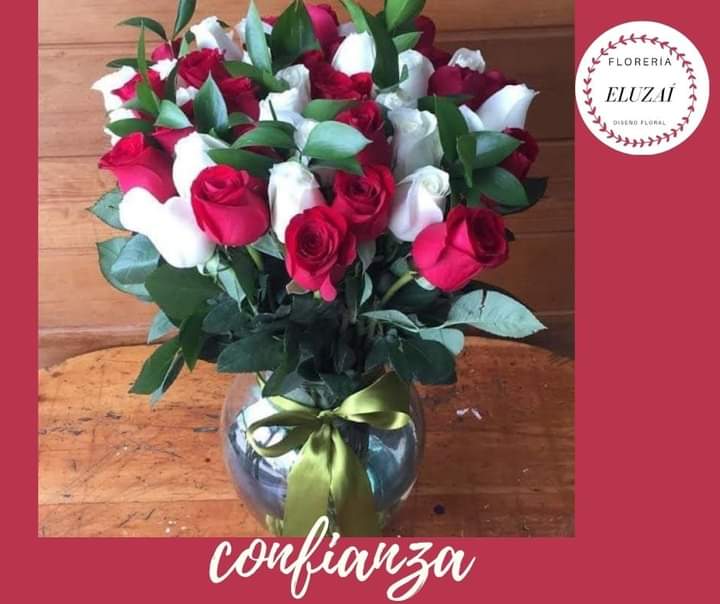 leetx-google-photo-75560-6 leetx-google-photo-75560-6