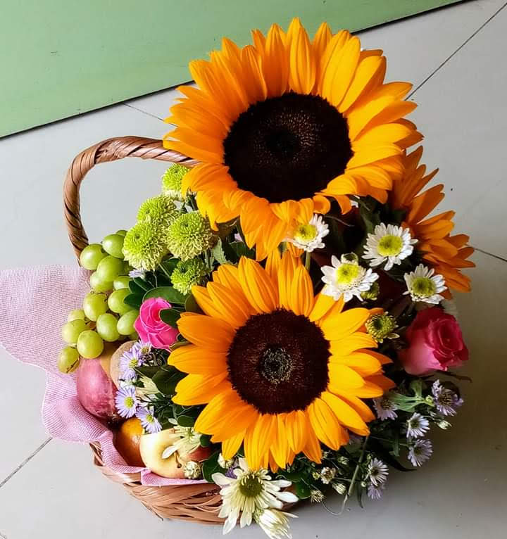 leetx-google-photo-75560-8 leetx-google-photo-75560-8