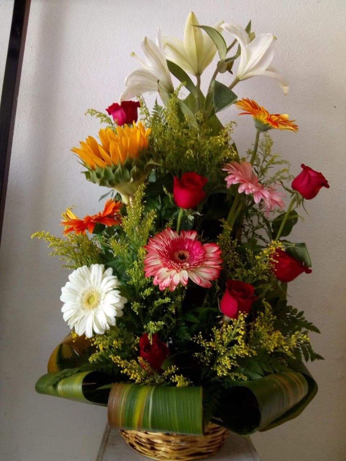 leetx-google-photo-75580-3 leetx-google-photo-75580-3