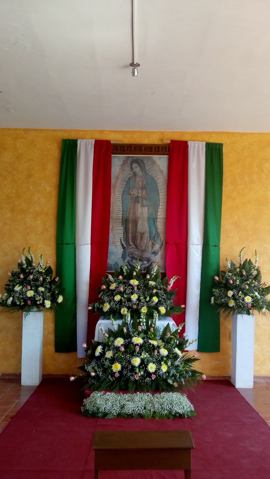 leetx-google-photo-75580-5 leetx-google-photo-75580-5