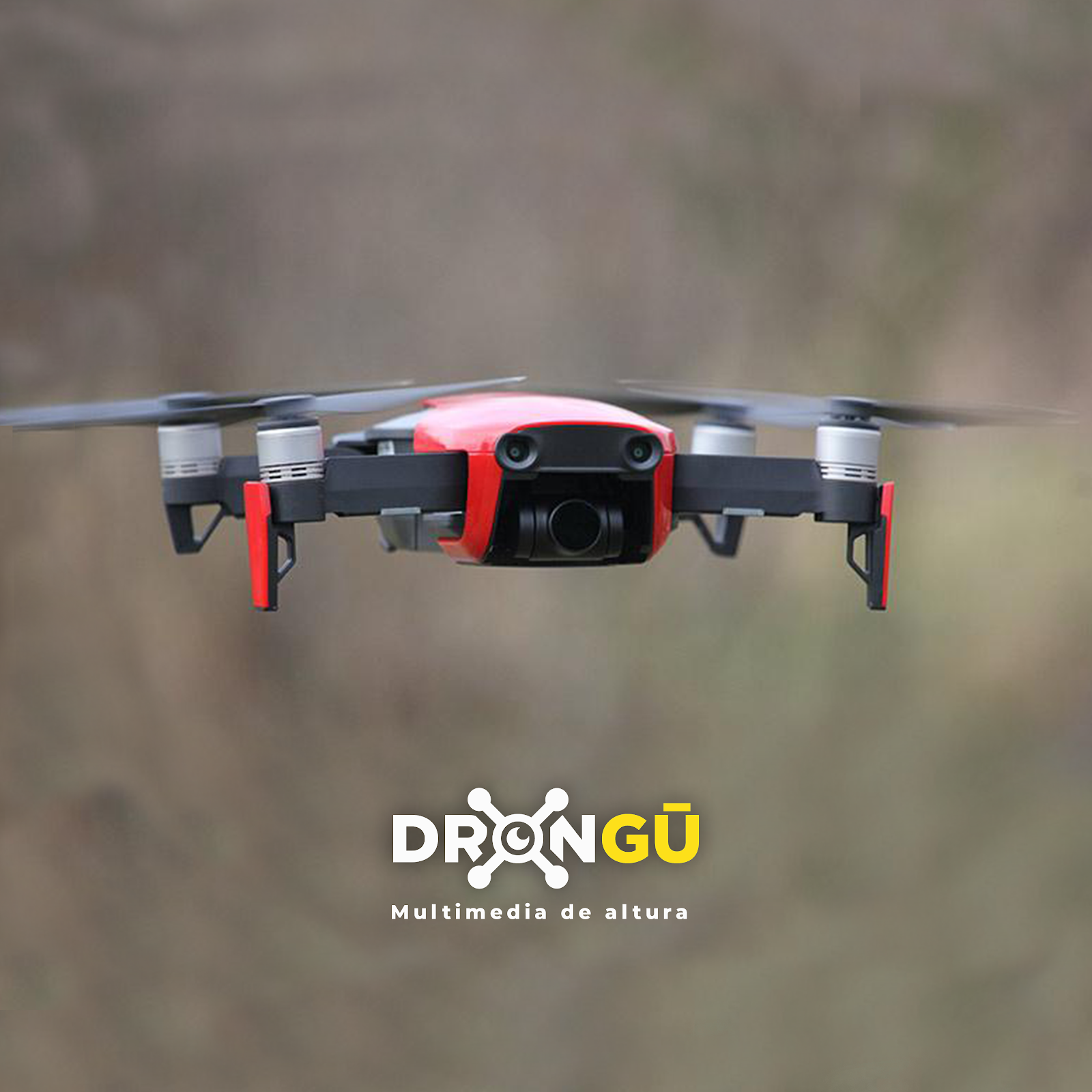 leetx-google-photo-75868-3 leetx-google-photo-75868-3