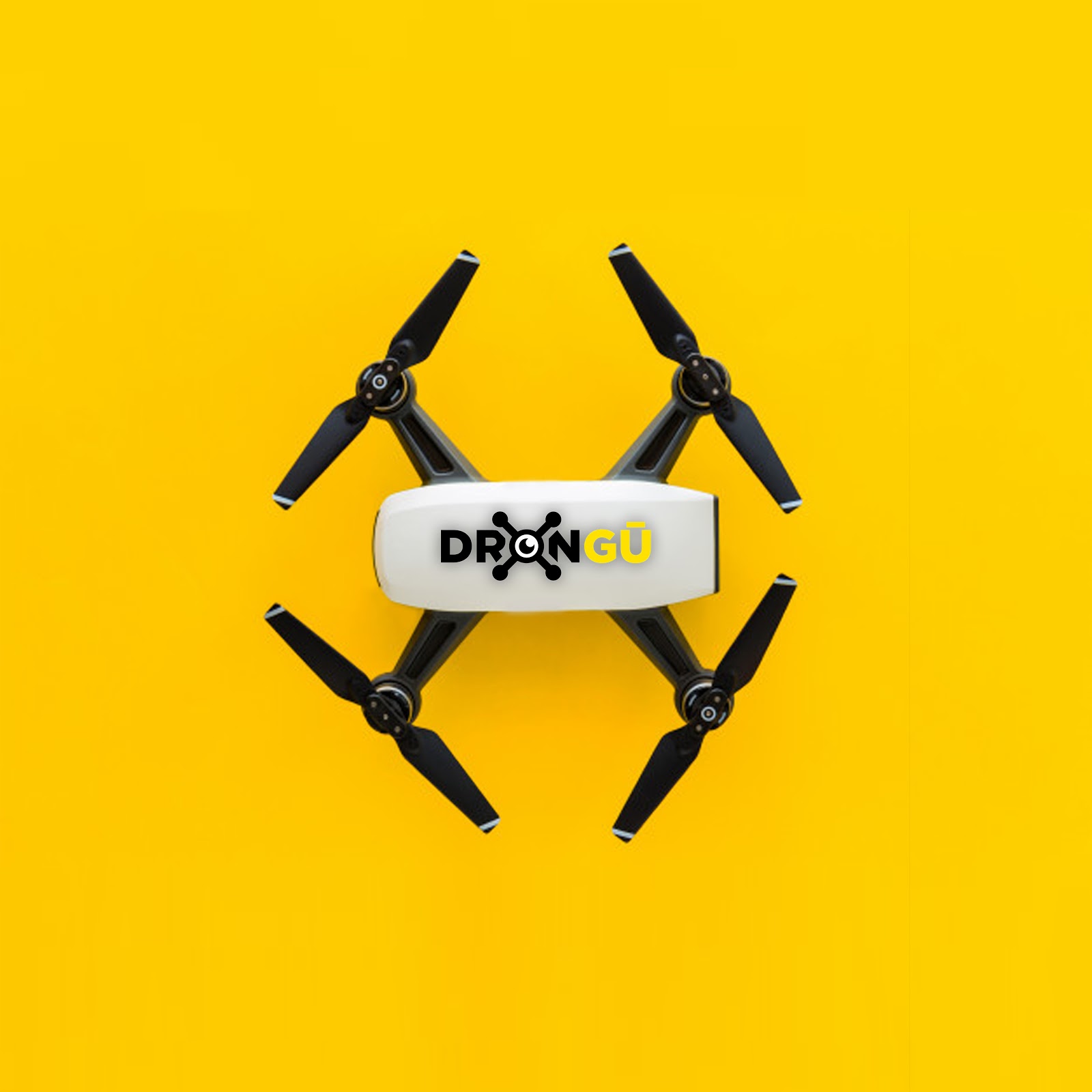 leetx-google-photo-75868-6 leetx-google-photo-75868-6