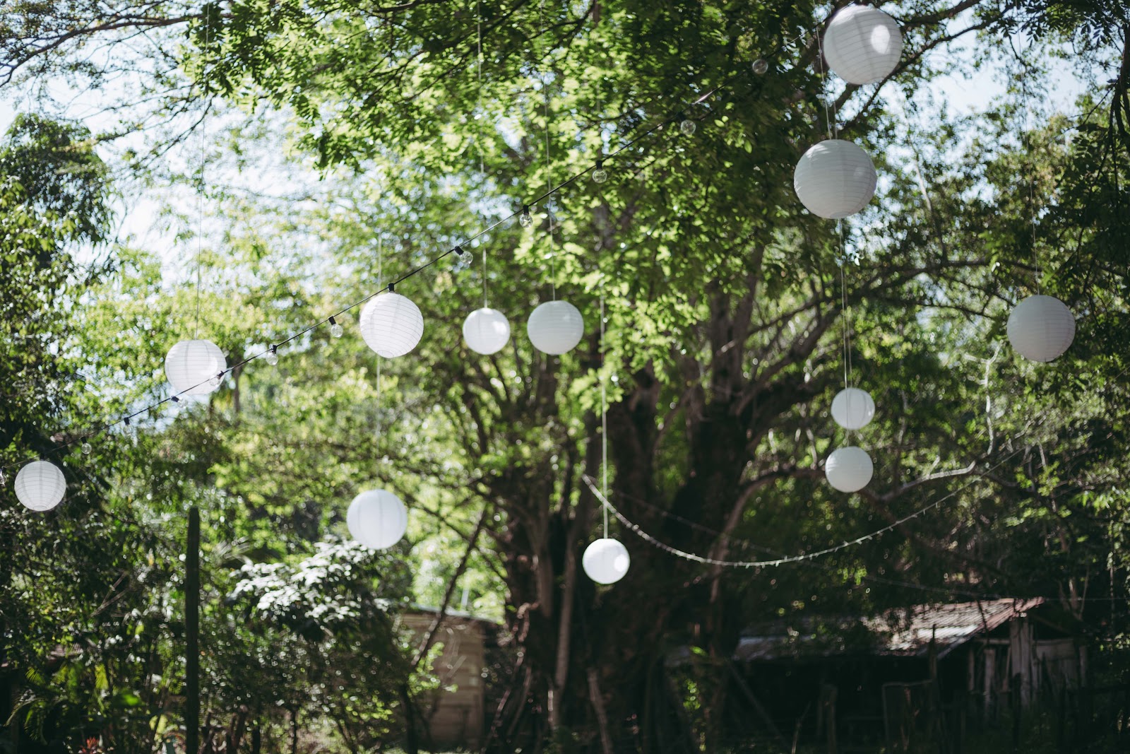 leetx-google-photo-75989-6 leetx-google-photo-75989-6