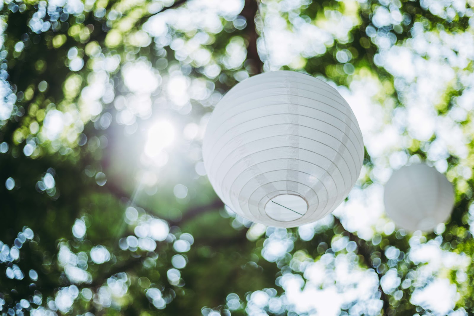 leetx-google-photo-75989-7 leetx-google-photo-75989-7