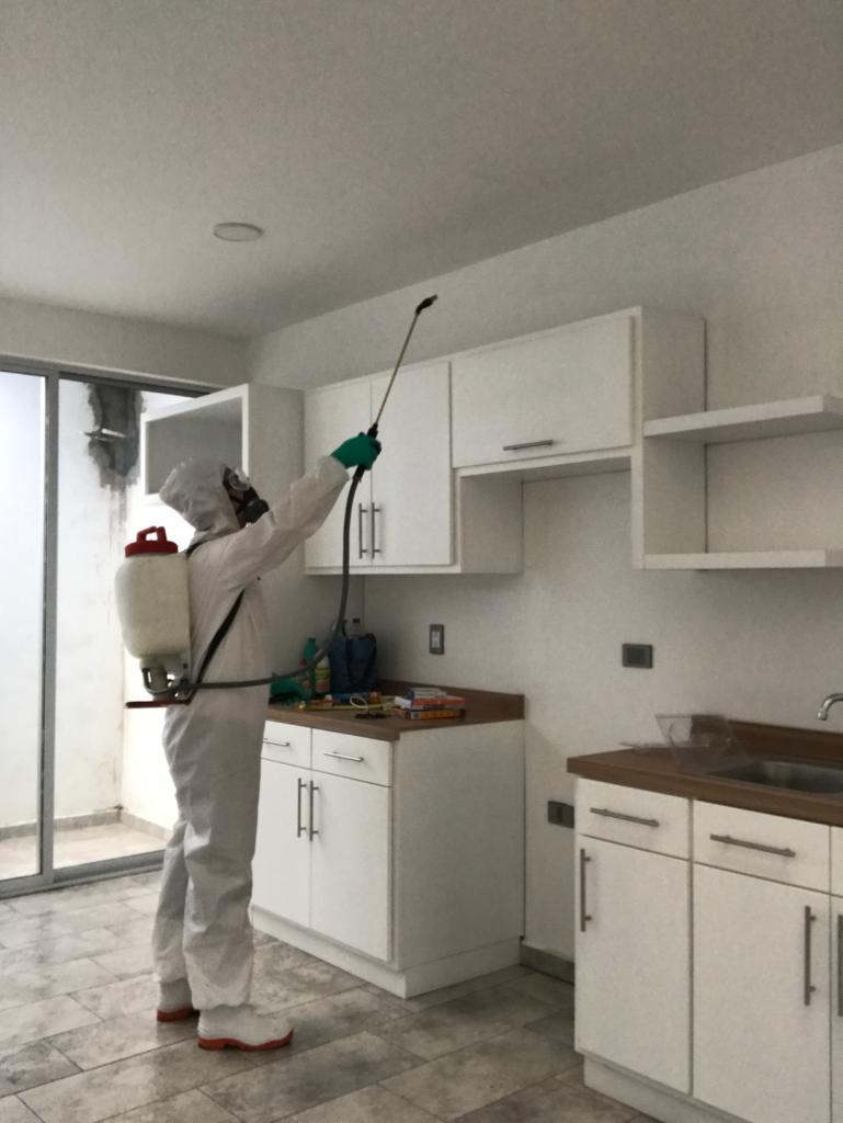 leetx-google-photo-76089-3 leetx-google-photo-76089-3