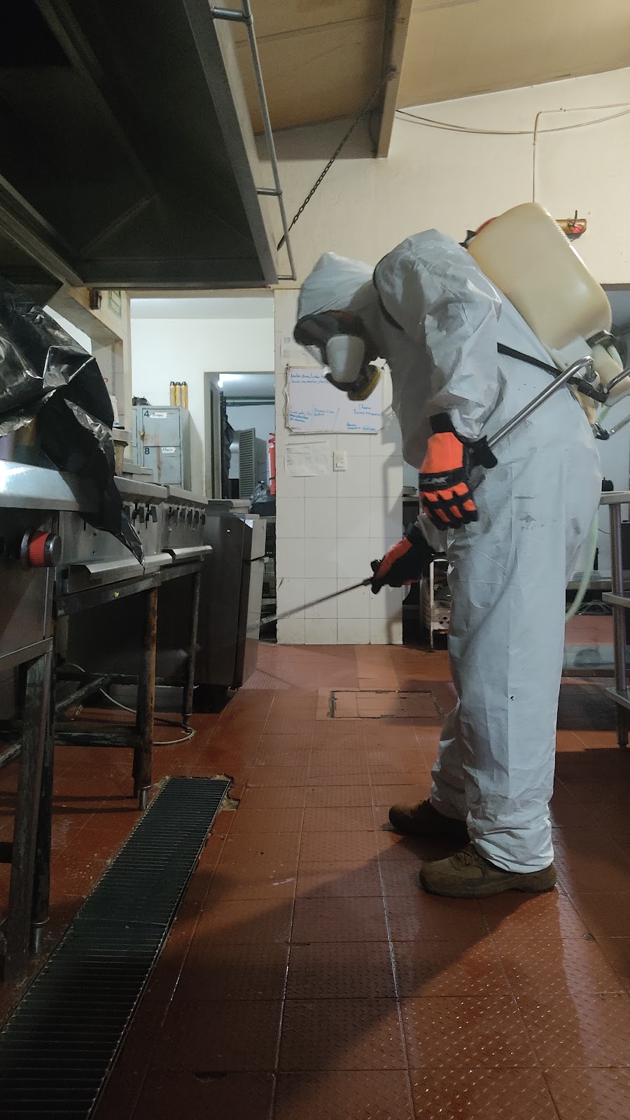 leetx-google-photo-76089-6 leetx-google-photo-76089-6