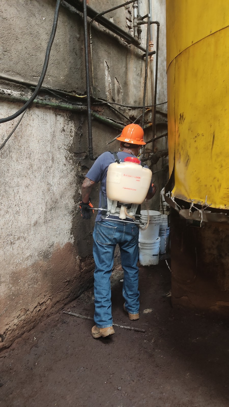 leetx-google-photo-76089-8 leetx-google-photo-76089-8