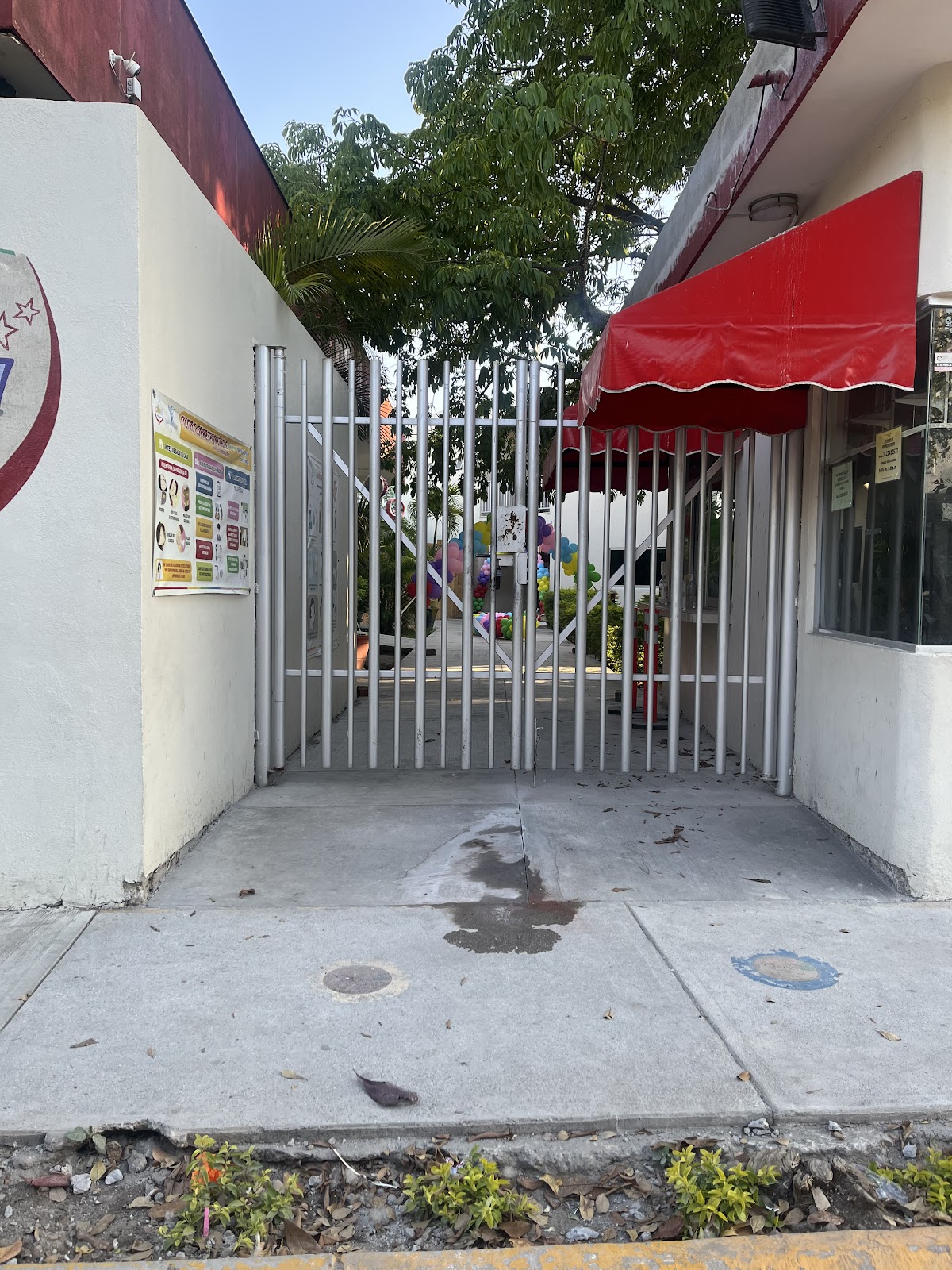 leetx-google-photo-76697-5 leetx-google-photo-76697-5