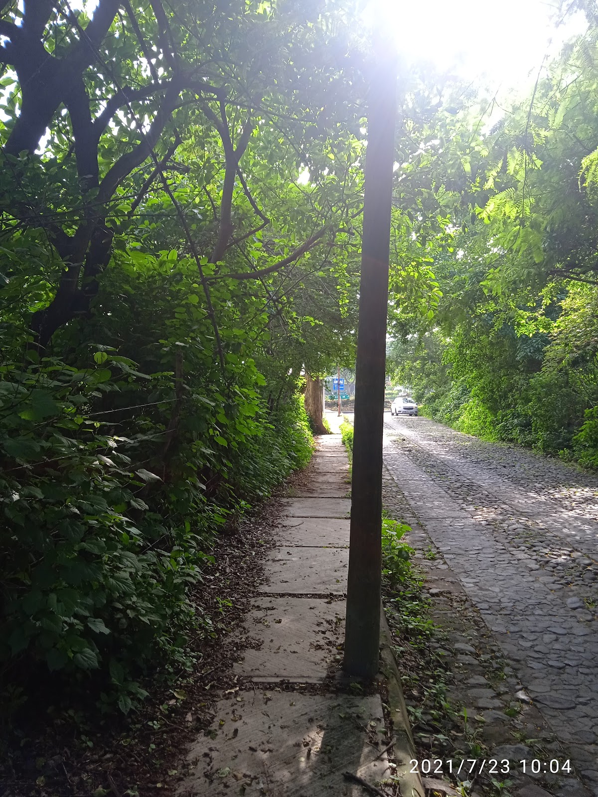 leetx-google-photo-77105-2 leetx-google-photo-77105-2