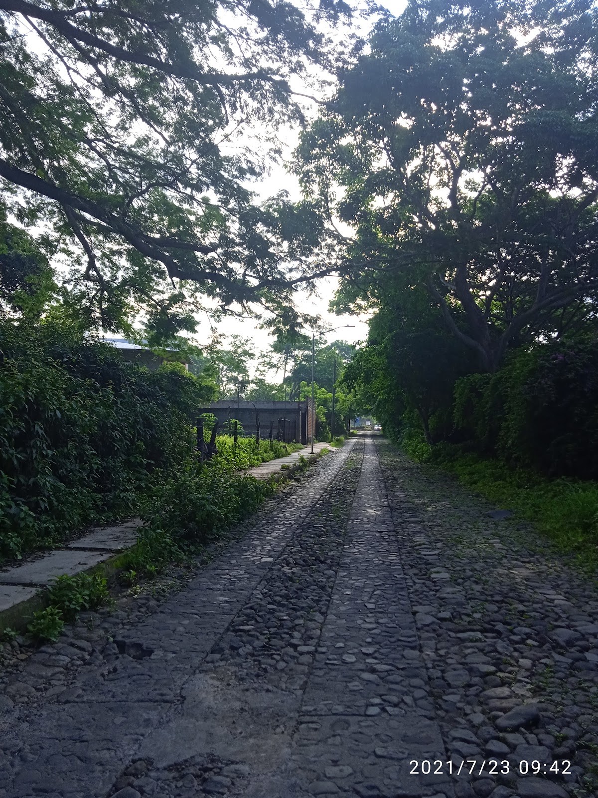 leetx-google-photo-77105-3 leetx-google-photo-77105-3