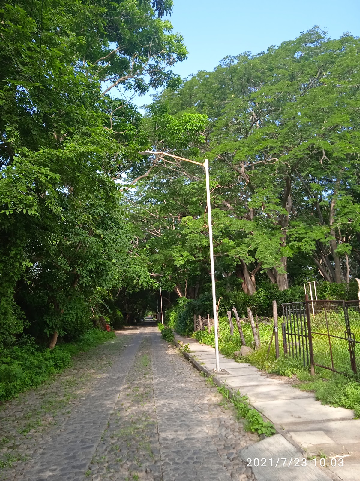 leetx-google-photo-77105-4 leetx-google-photo-77105-4