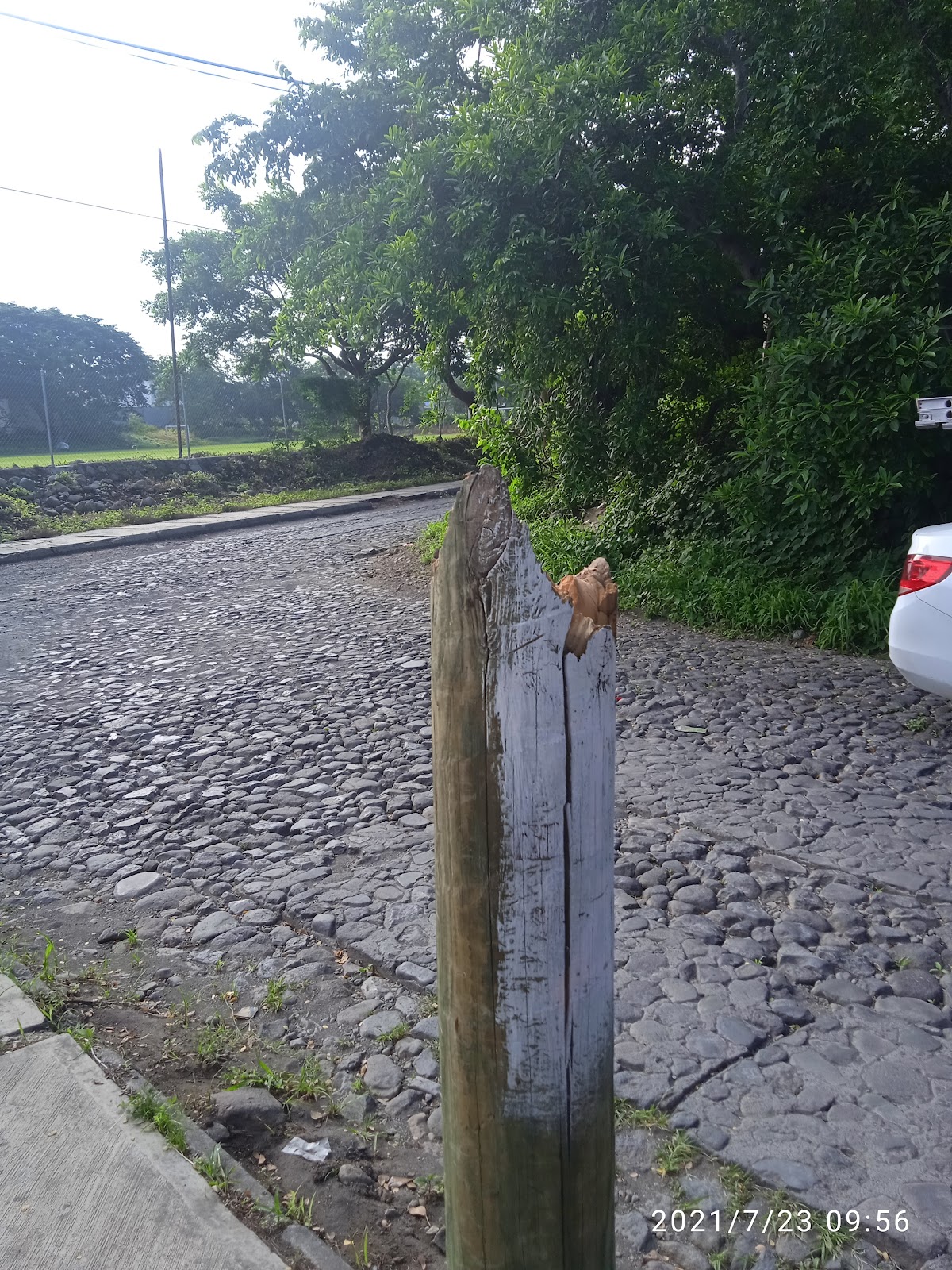 leetx-google-photo-77105-5 leetx-google-photo-77105-5