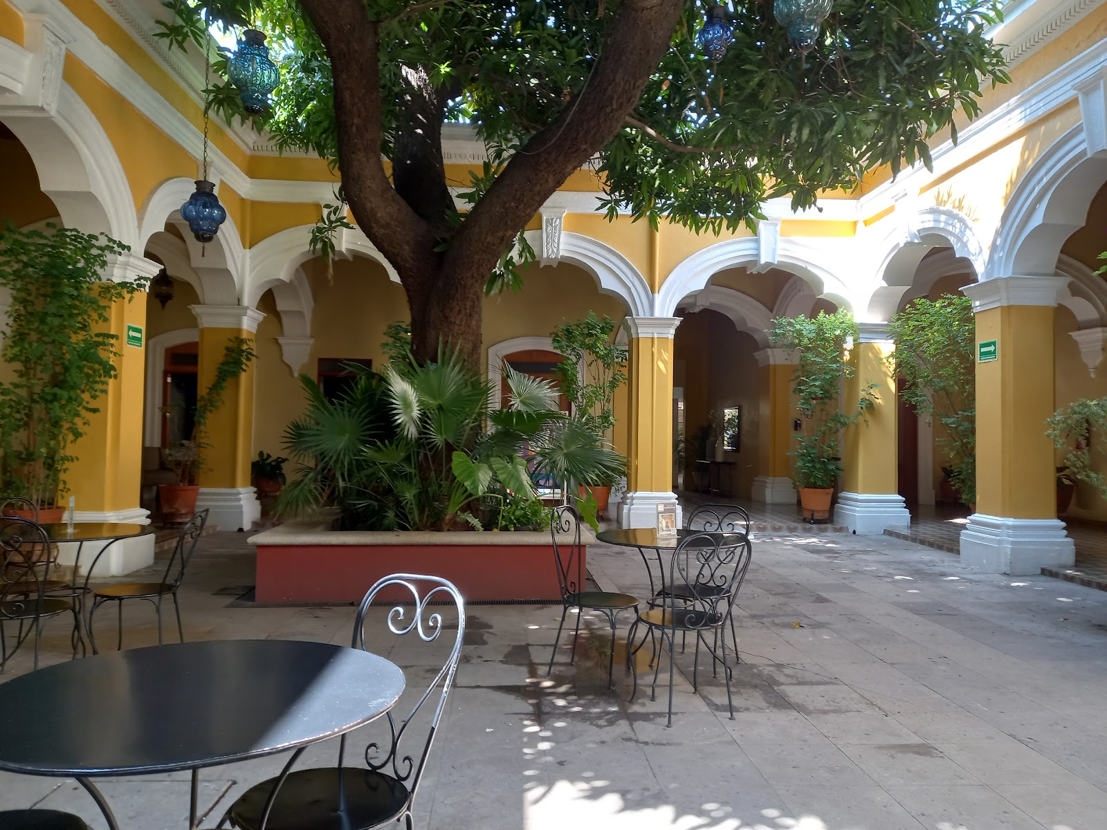 leetx-google-photo-77111-3 leetx-google-photo-77111-3