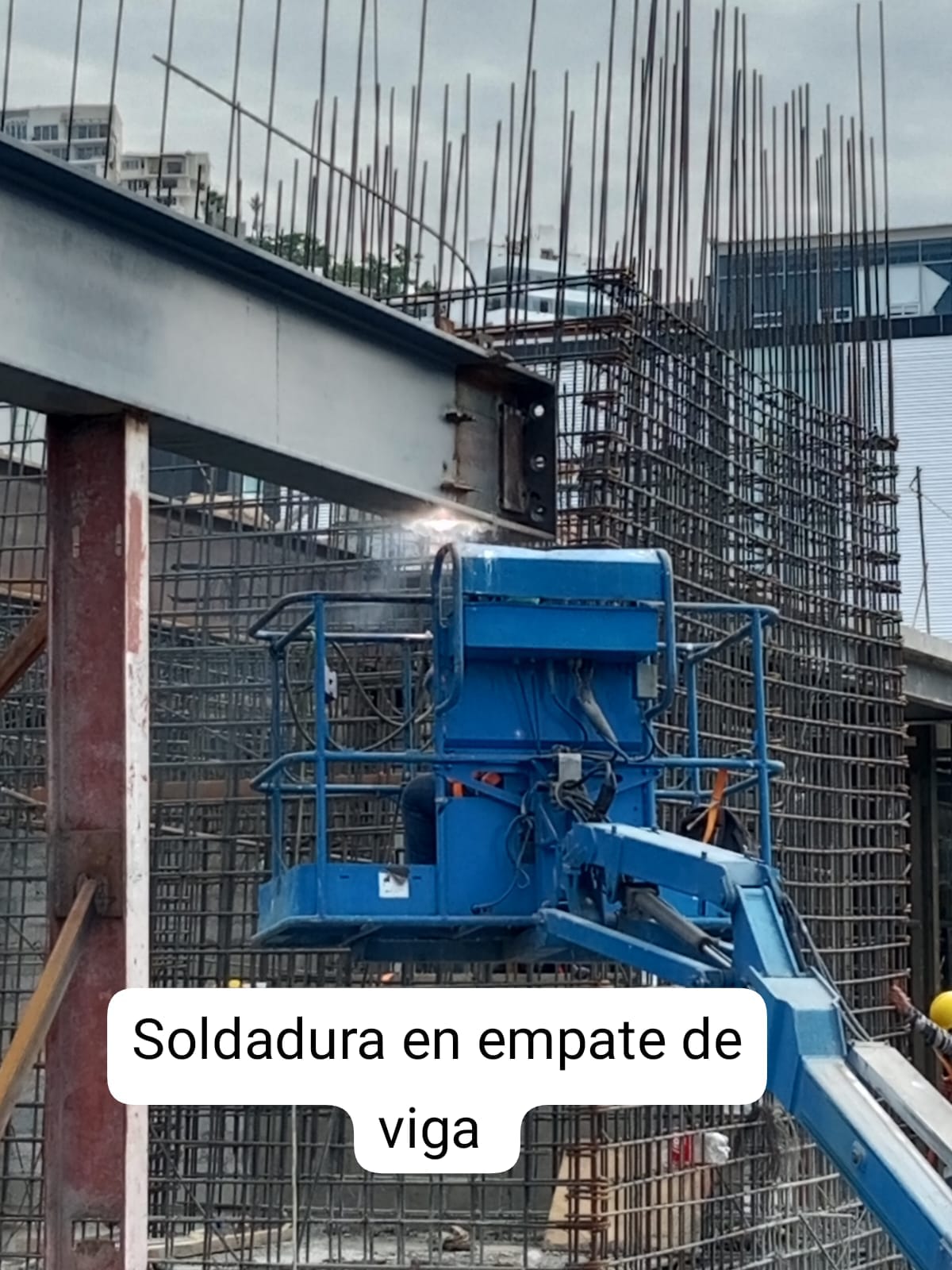 leetx-google-photo-78332-8 leetx-google-photo-78332-8