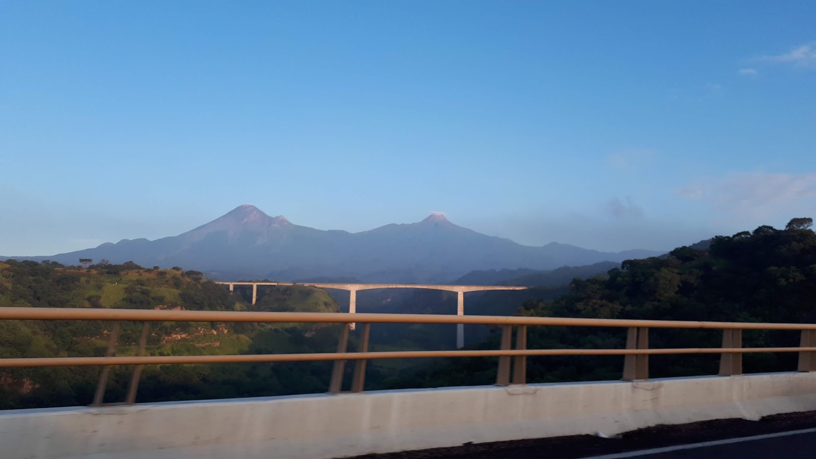 leetx-google-photo-78347-2 leetx-google-photo-78347-2