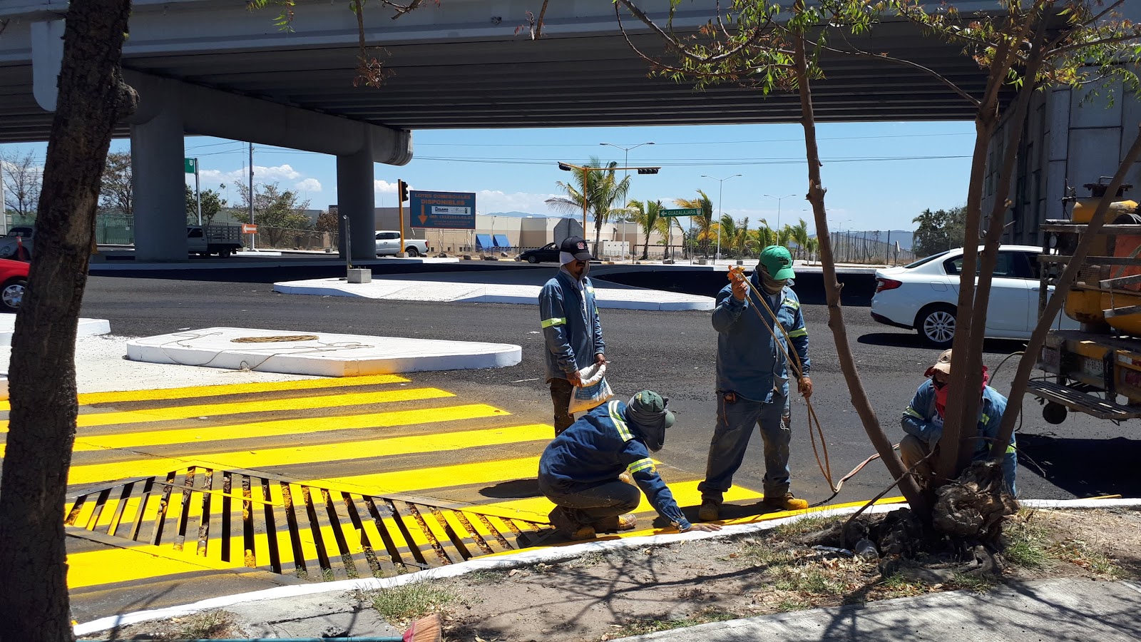 leetx-google-photo-78347-3 leetx-google-photo-78347-3