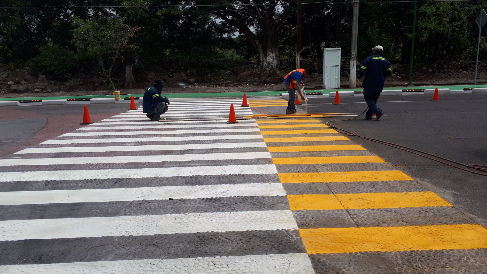 leetx-google-photo-78347-4 leetx-google-photo-78347-4