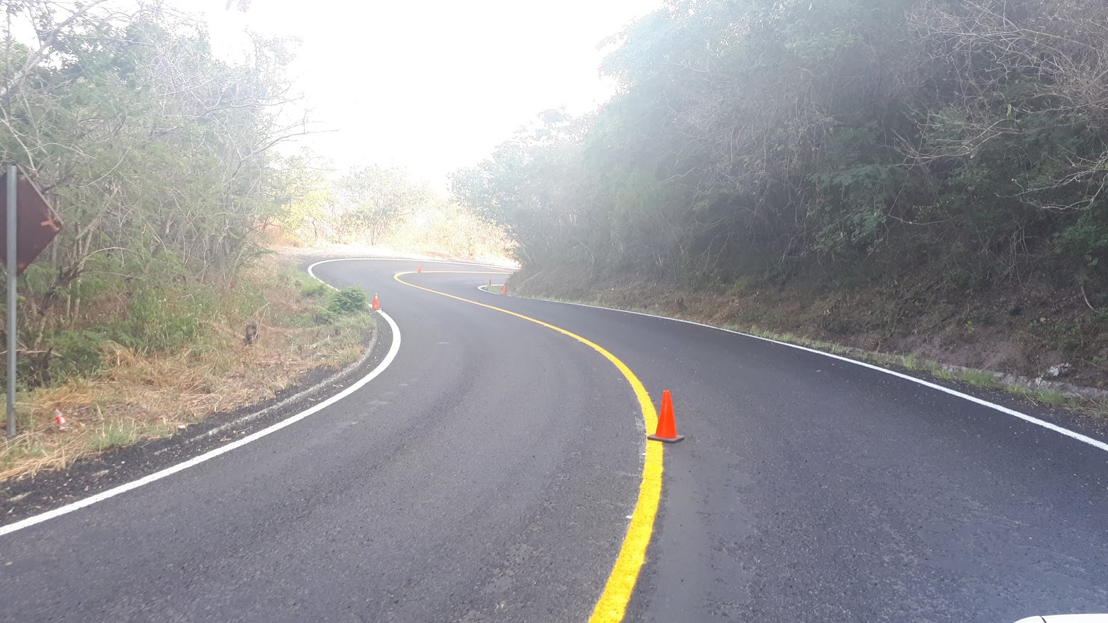 leetx-google-photo-78347-8 leetx-google-photo-78347-8