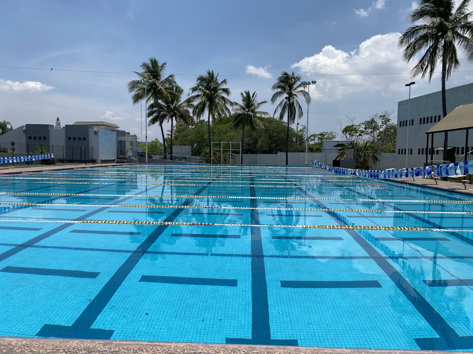 leetx-google-photo-78393-7 leetx-google-photo-78393-7