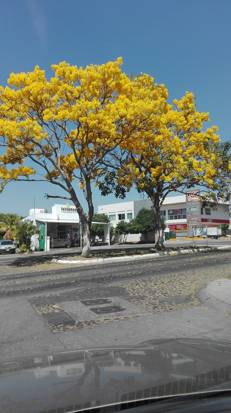 Hisilicon Balong Hisilicon Balong