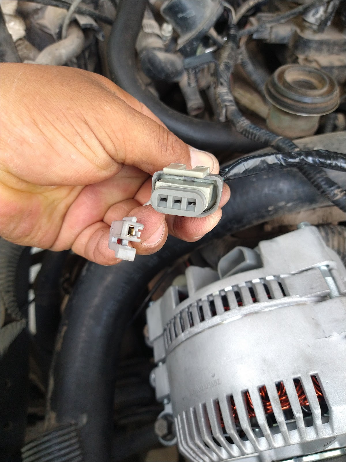 leetx-google-photo-79317-5 leetx-google-photo-79317-5