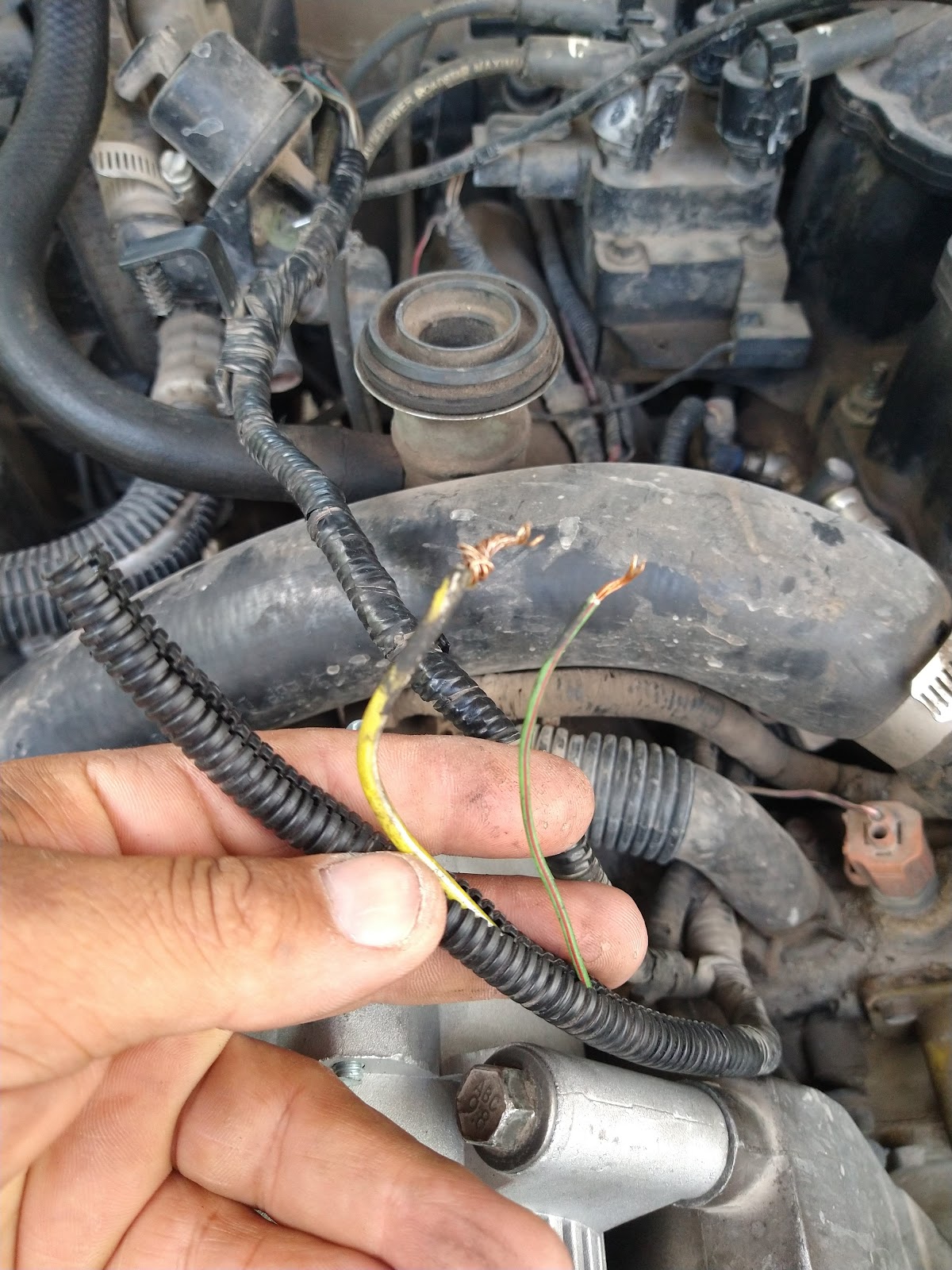 leetx-google-photo-79317-8 leetx-google-photo-79317-8