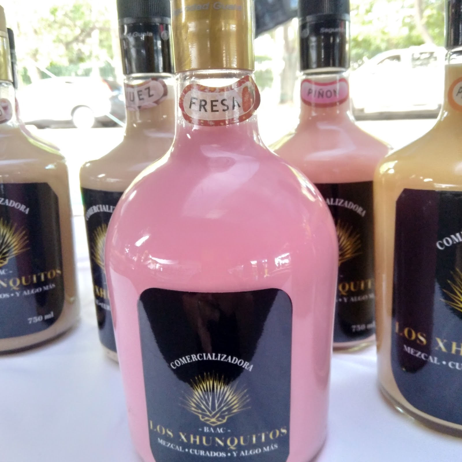 leetx-google-photo-79433-7 leetx-google-photo-79433-7