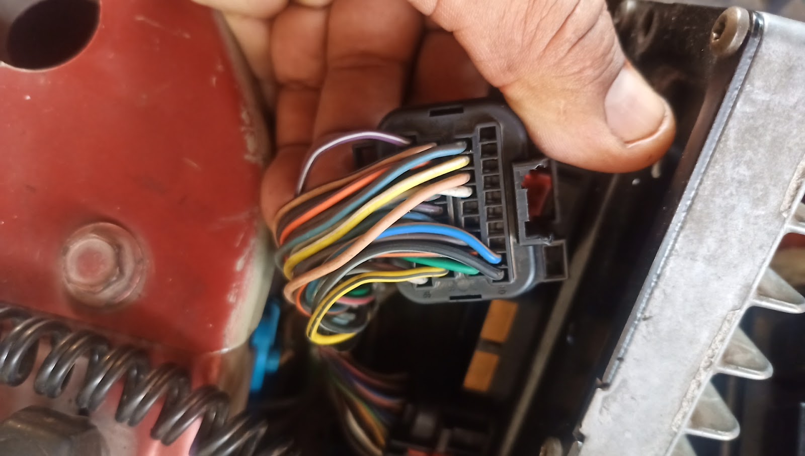 leetx-google-photo-79679-6 leetx-google-photo-79679-6